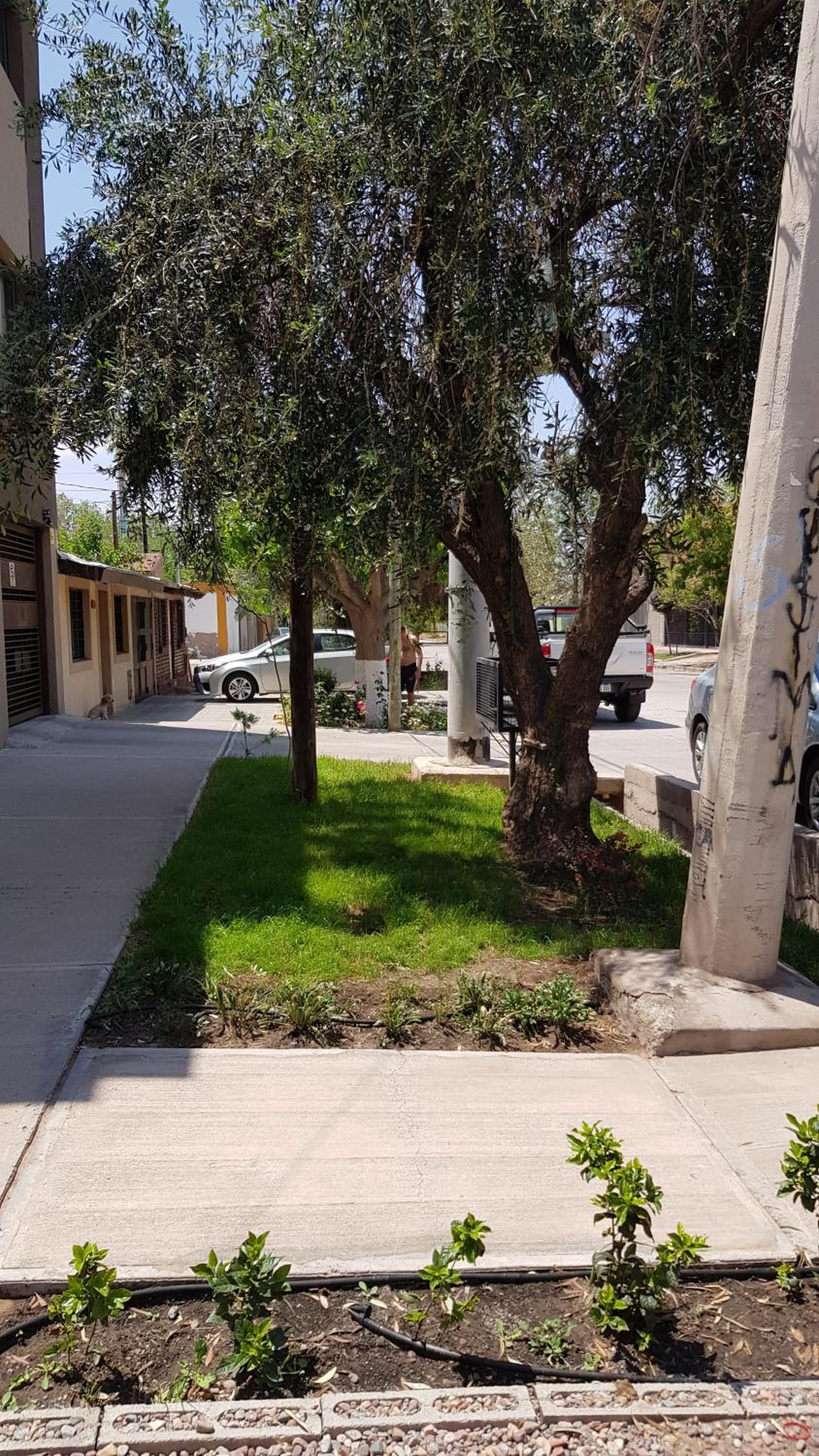 Departamento en Complejo Las Lilas Mendoza
