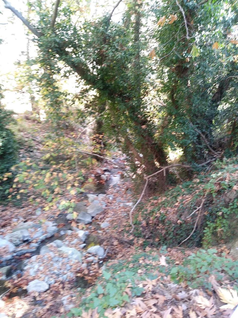 The Spidaki