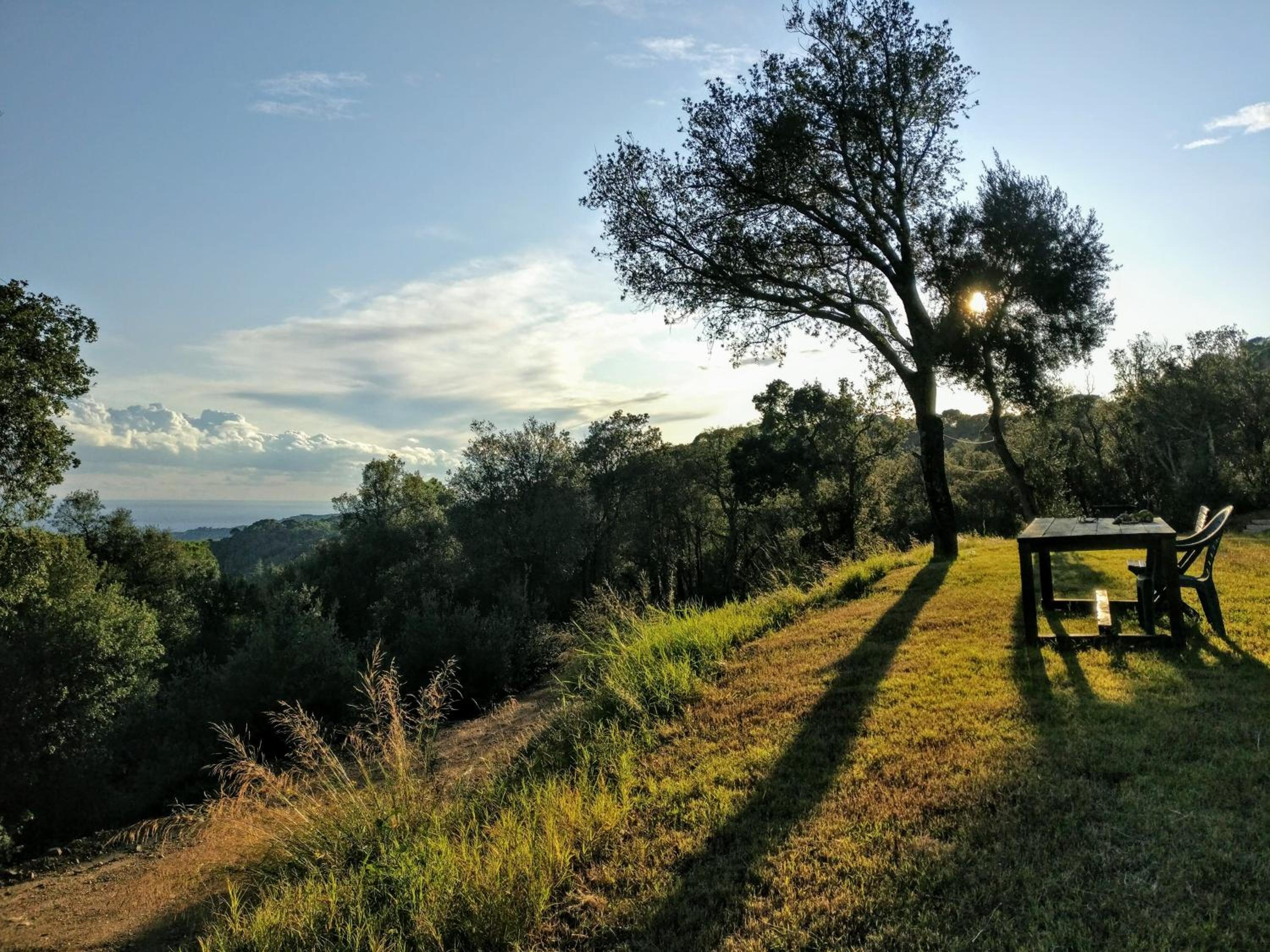 Masia Mediterranian Country House Ca l'Isidre Torrent