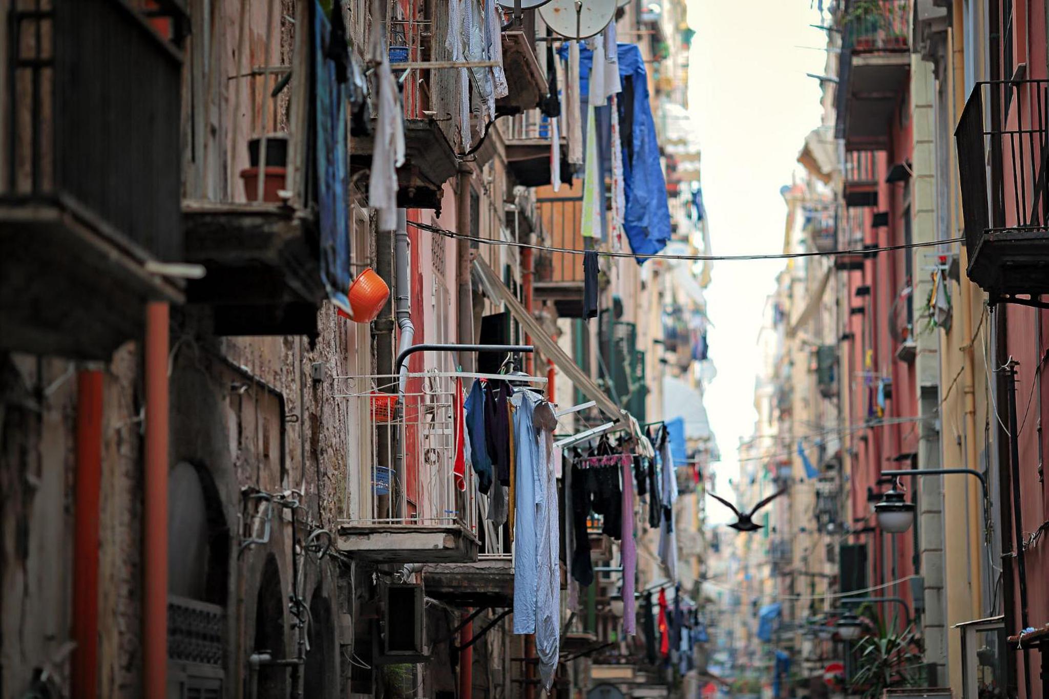 About Toledo
