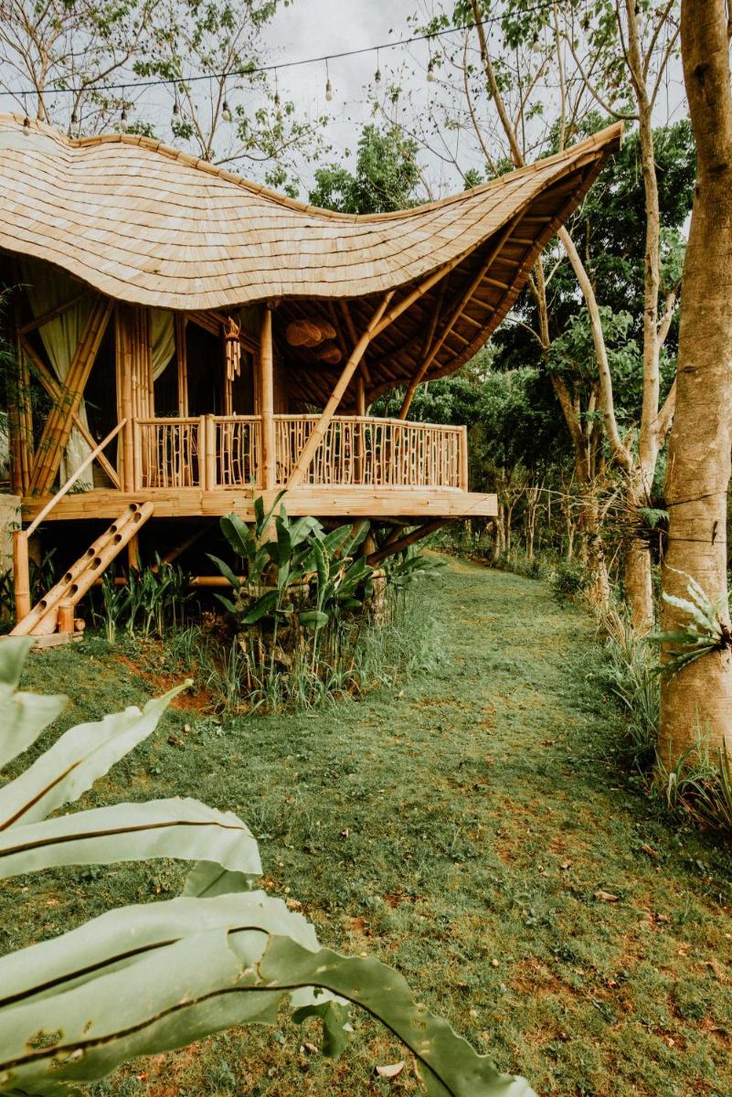 Bird Hills Bamboo House view 4