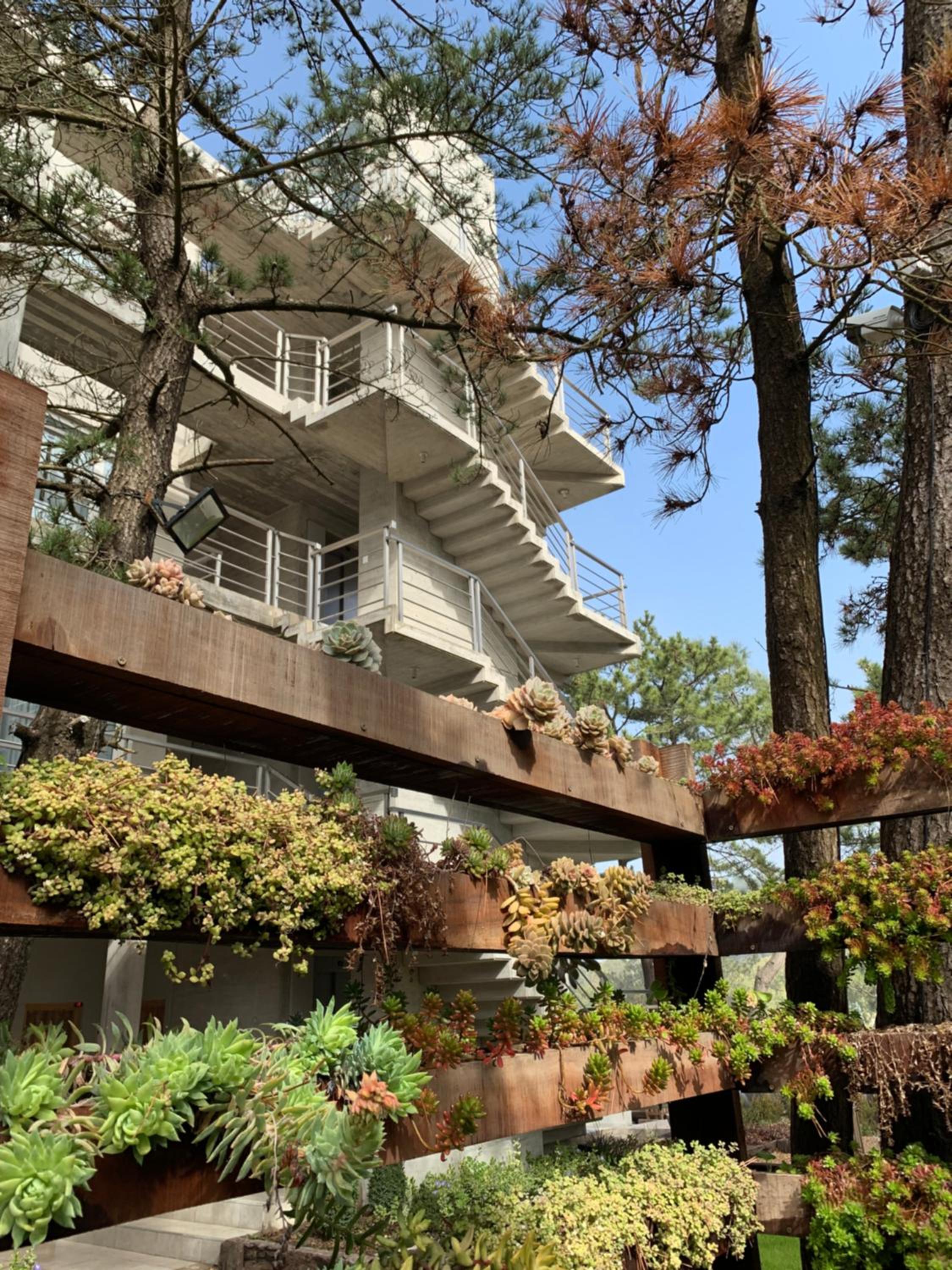 Hotel Casiopea Apart-Spa-Mar