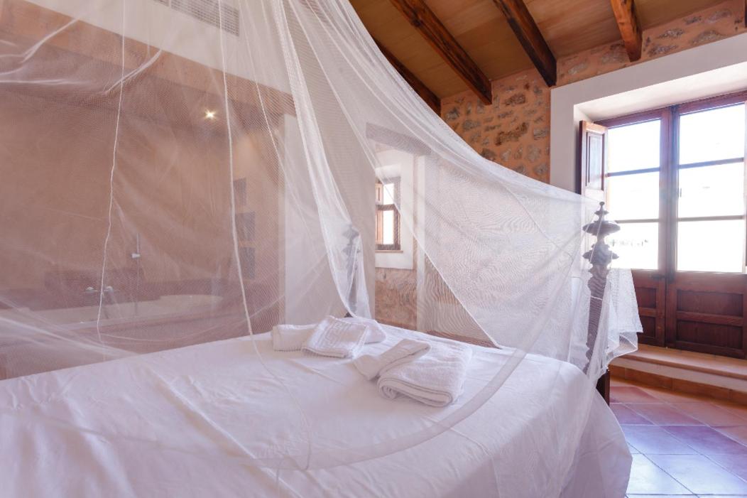 Cas Guitarró photo 4