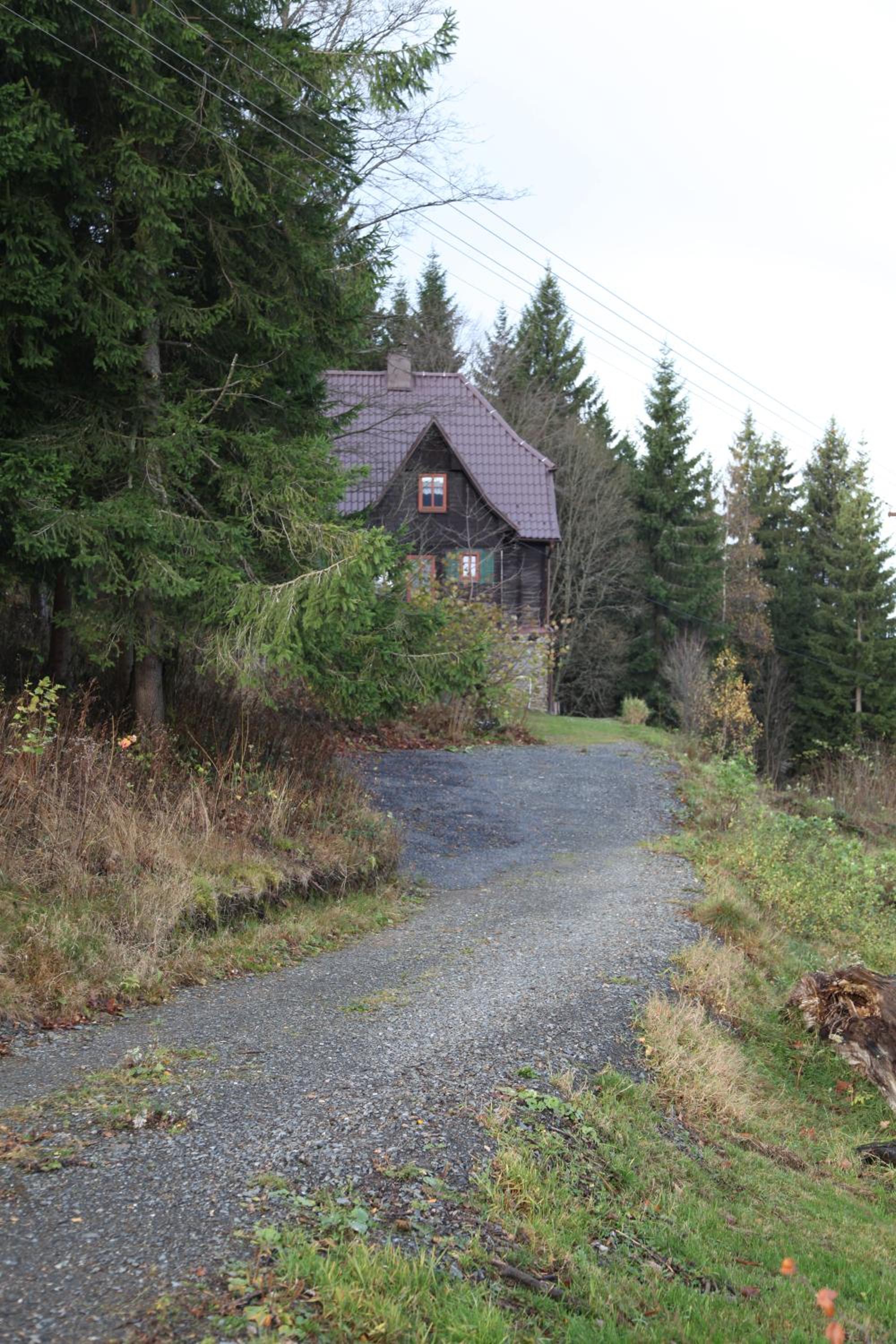 König-in