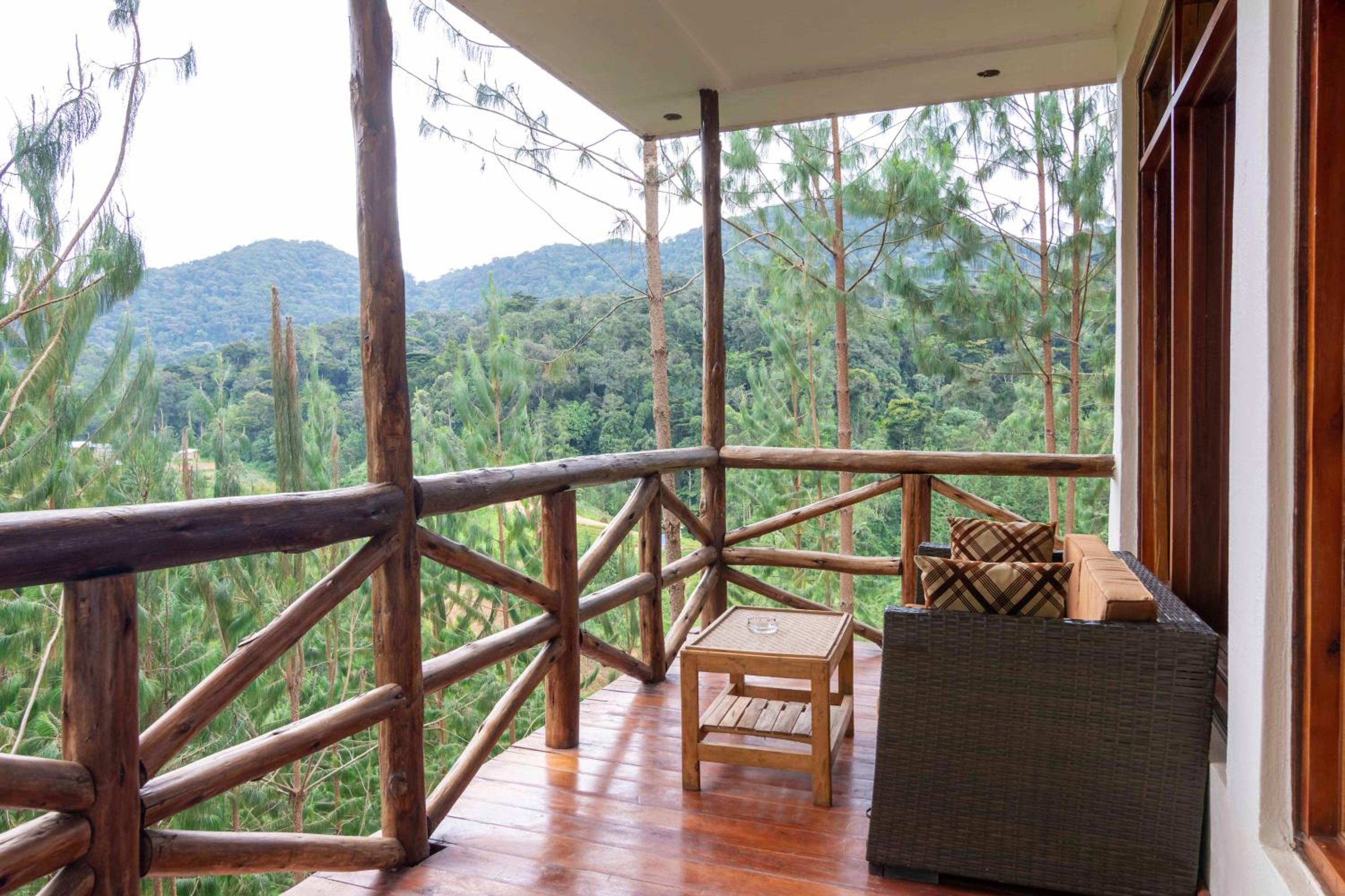 Rushaga Gorilla Lodge