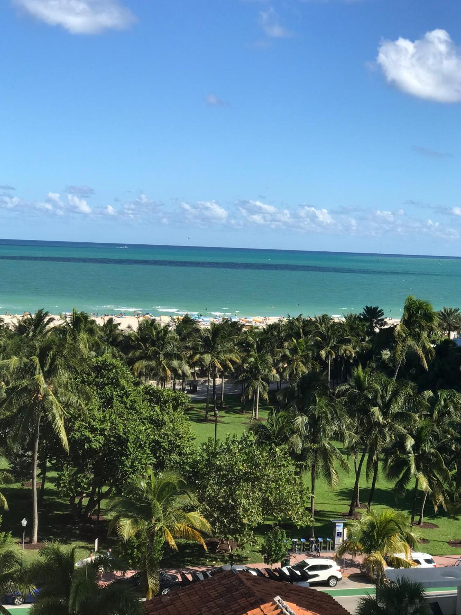 Dream Destinations at Ocean Place view 5