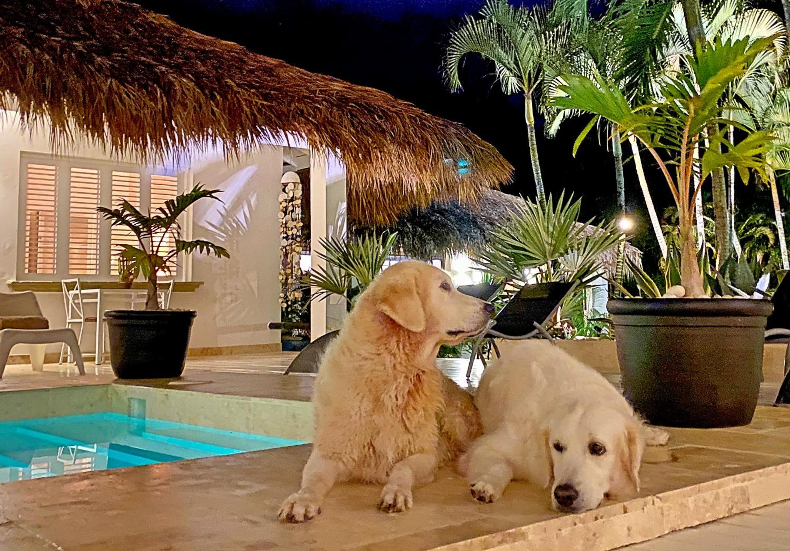 Adults-Only Hacienda Terra Taina