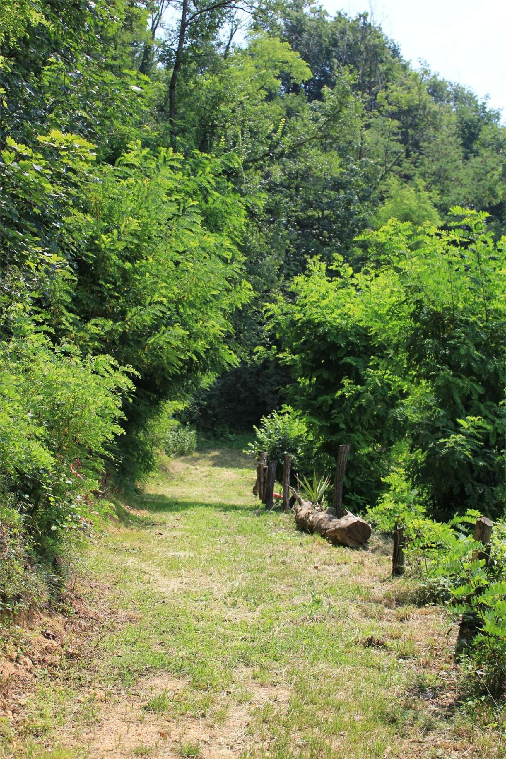 Agriturismo Casa Adea