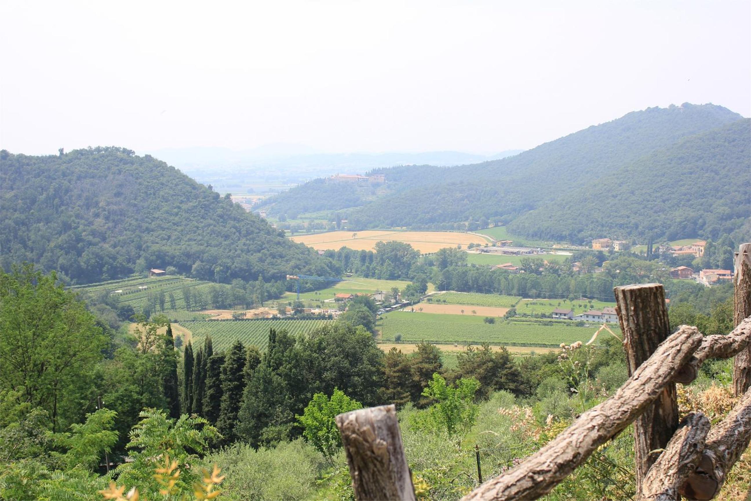 Agriturismo Casa Adea