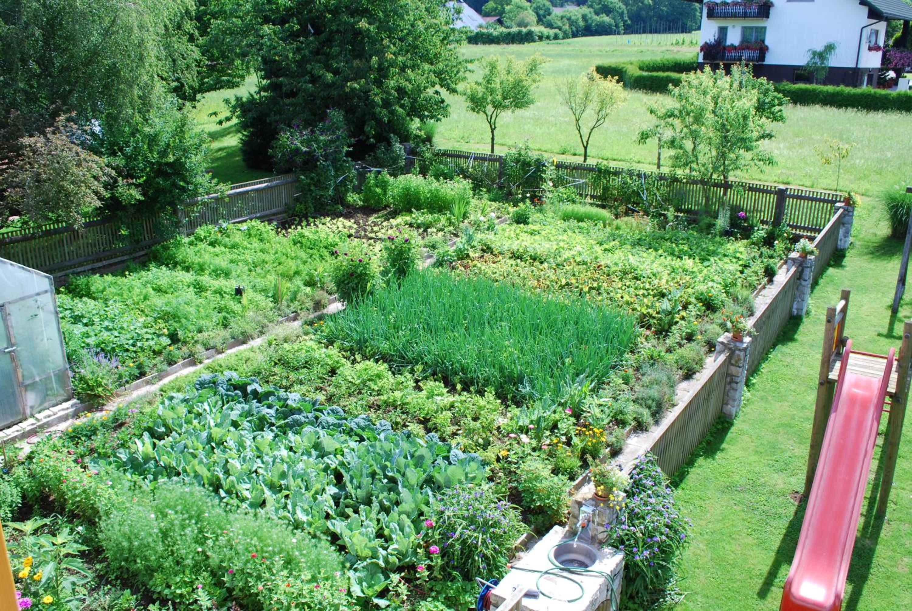 Farm Stay Rotovnik - Plesnik view 4