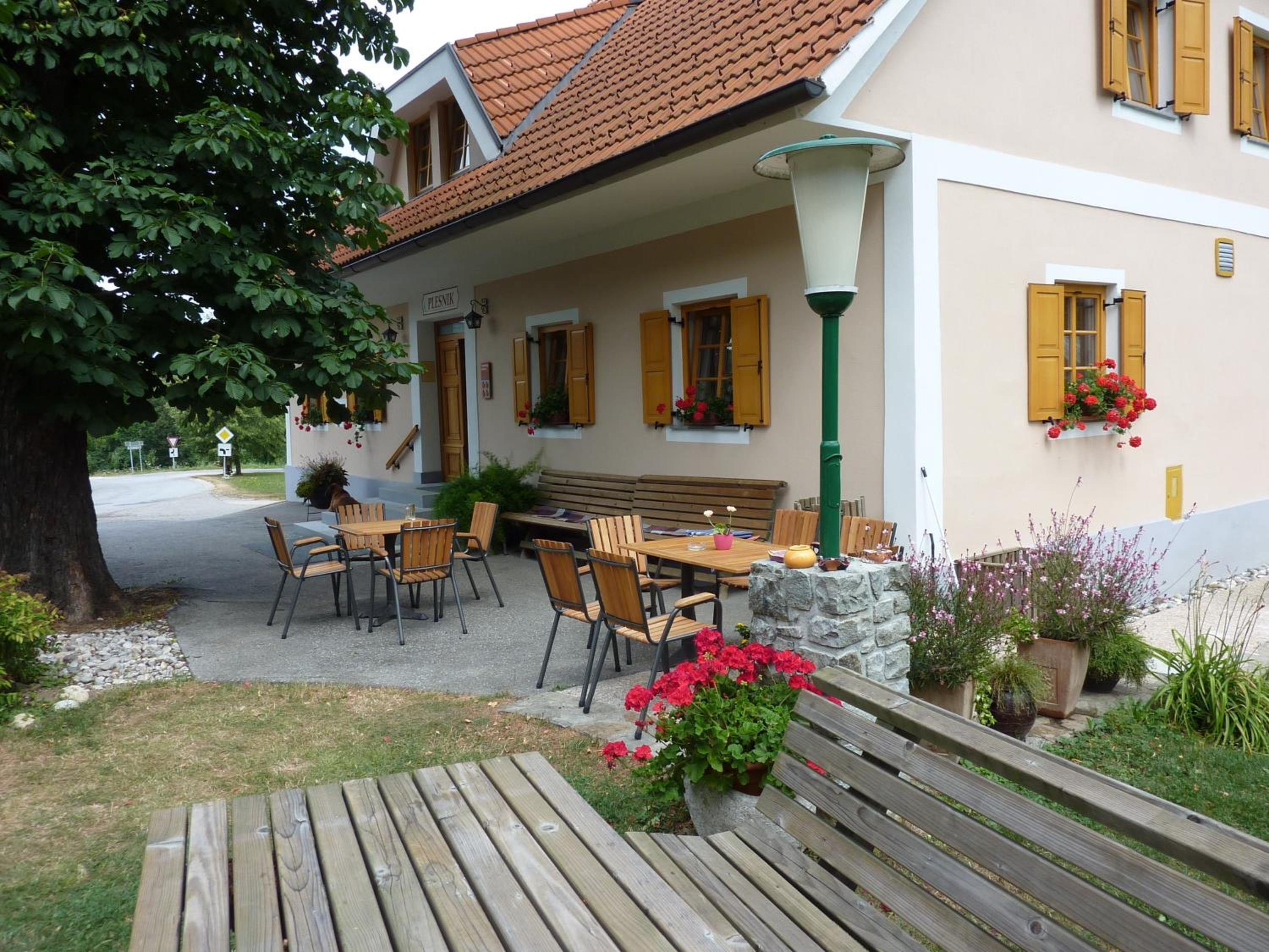 Farm Stay Rotovnik - Plesnik view 2