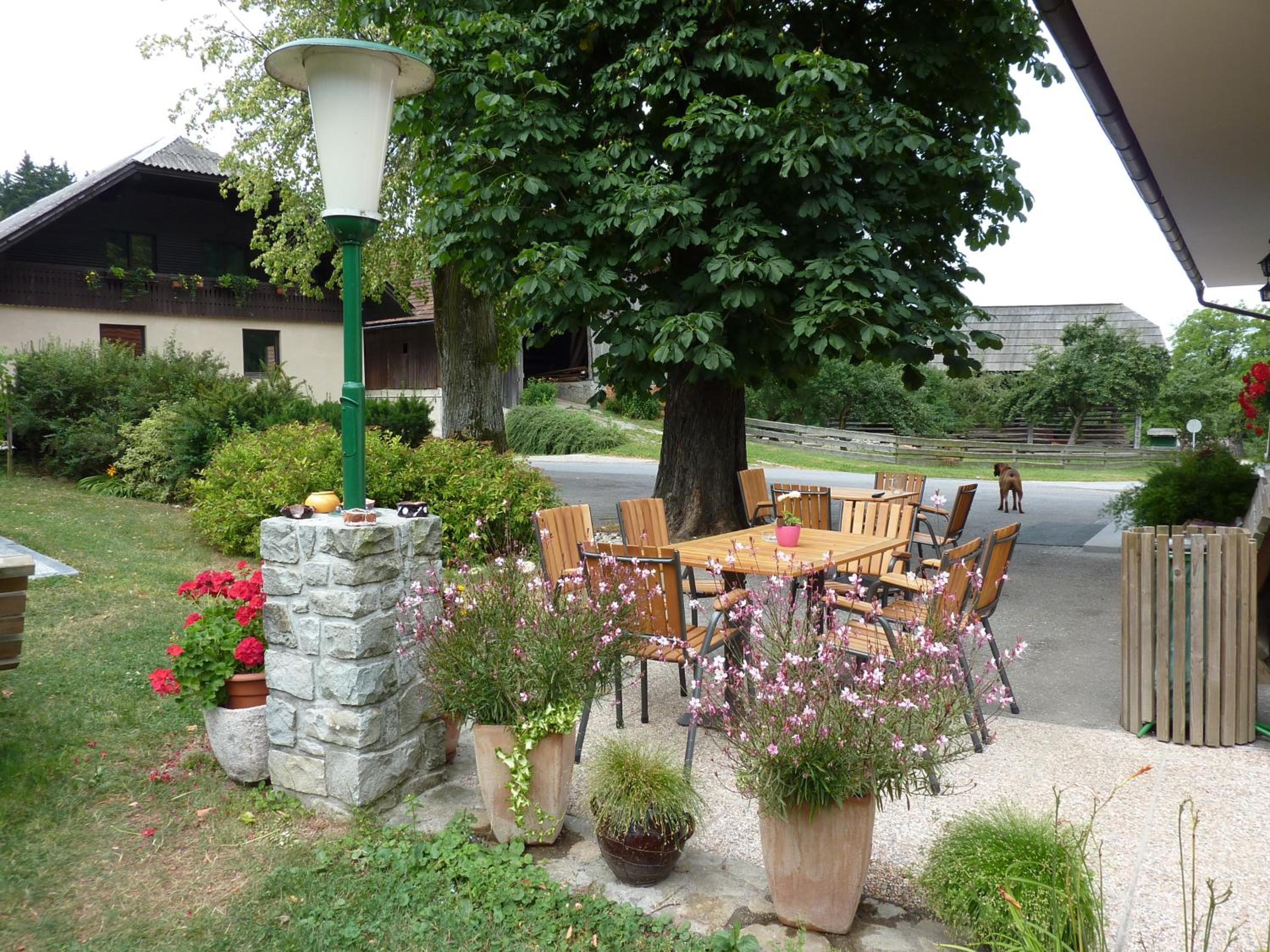 Farm Stay Rotovnik - Plesnik view 3