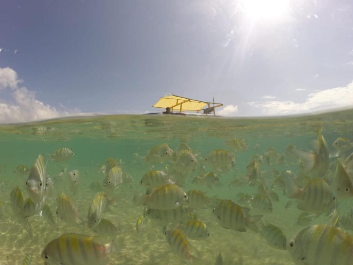 Casa em São Miguel dos Milagres - 700m do mar