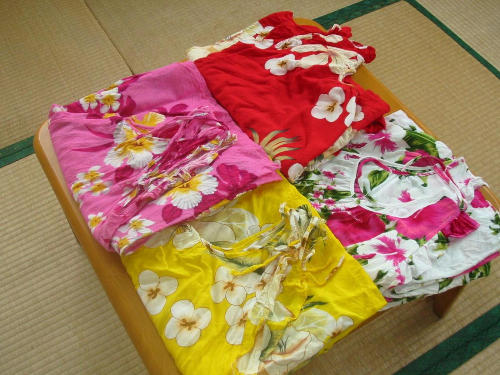 Minshuku Myojoso
