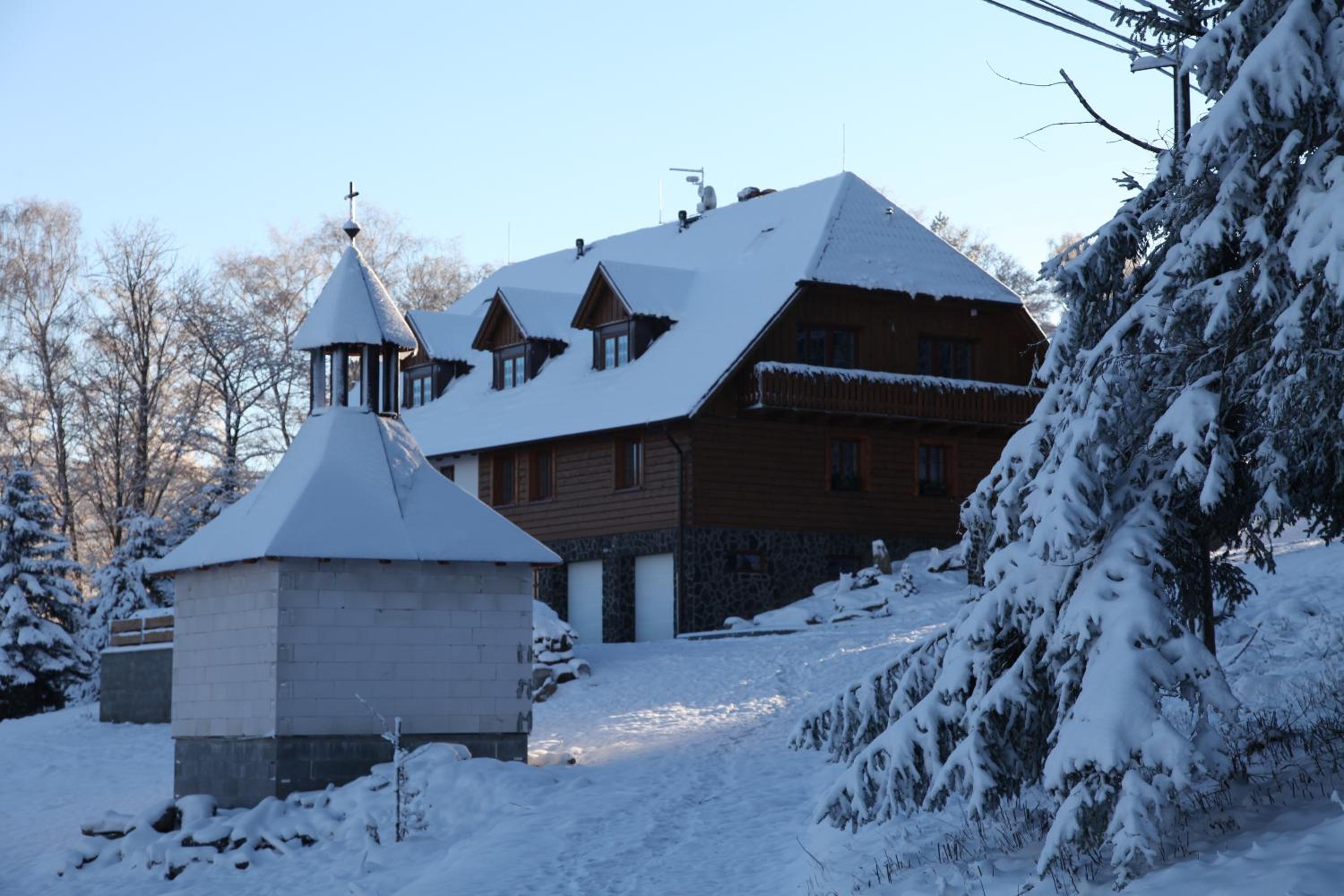 König-in