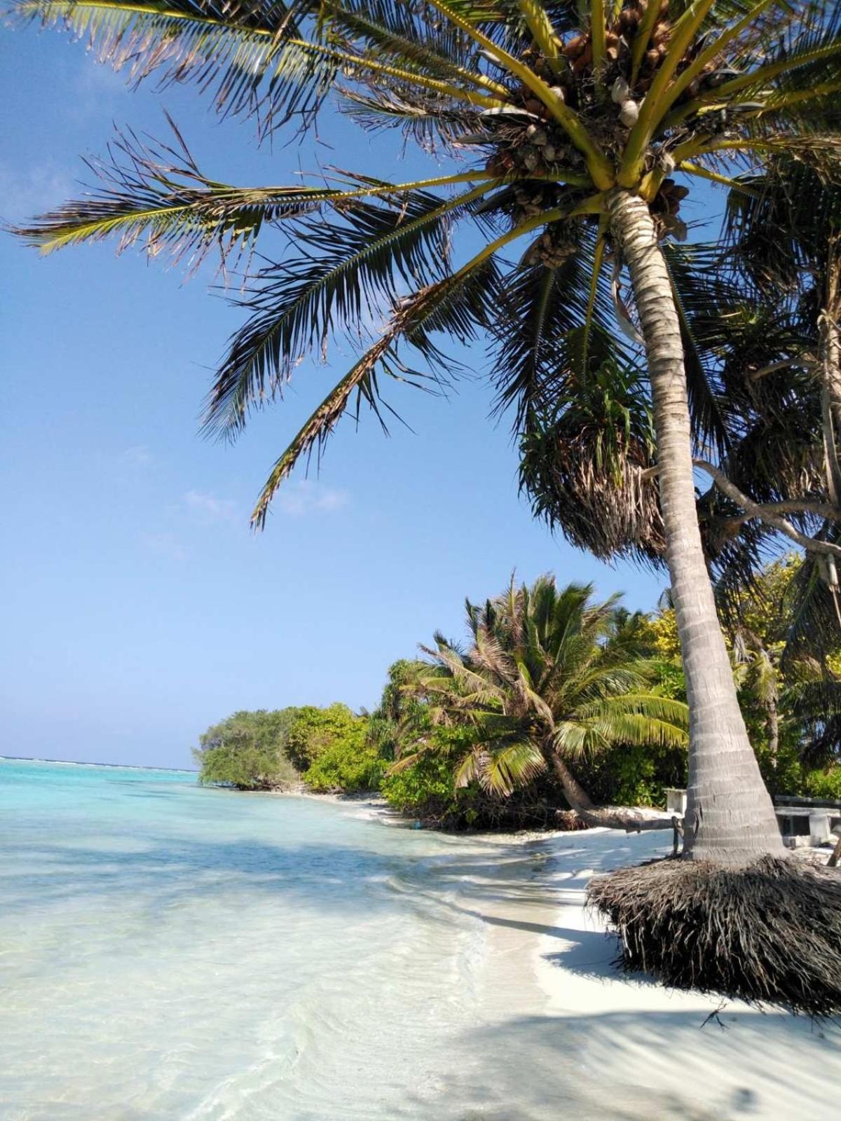 Bahari Lodge, K.Kaashidhoo