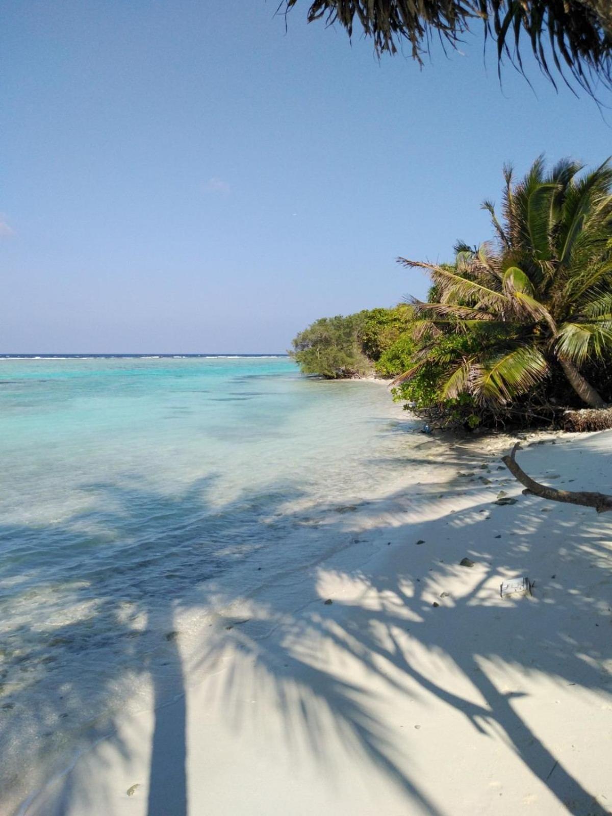Bahari Lodge, K.Kaashidhoo