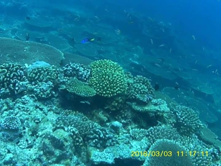 Bahari Lodge, K.Kaashidhoo