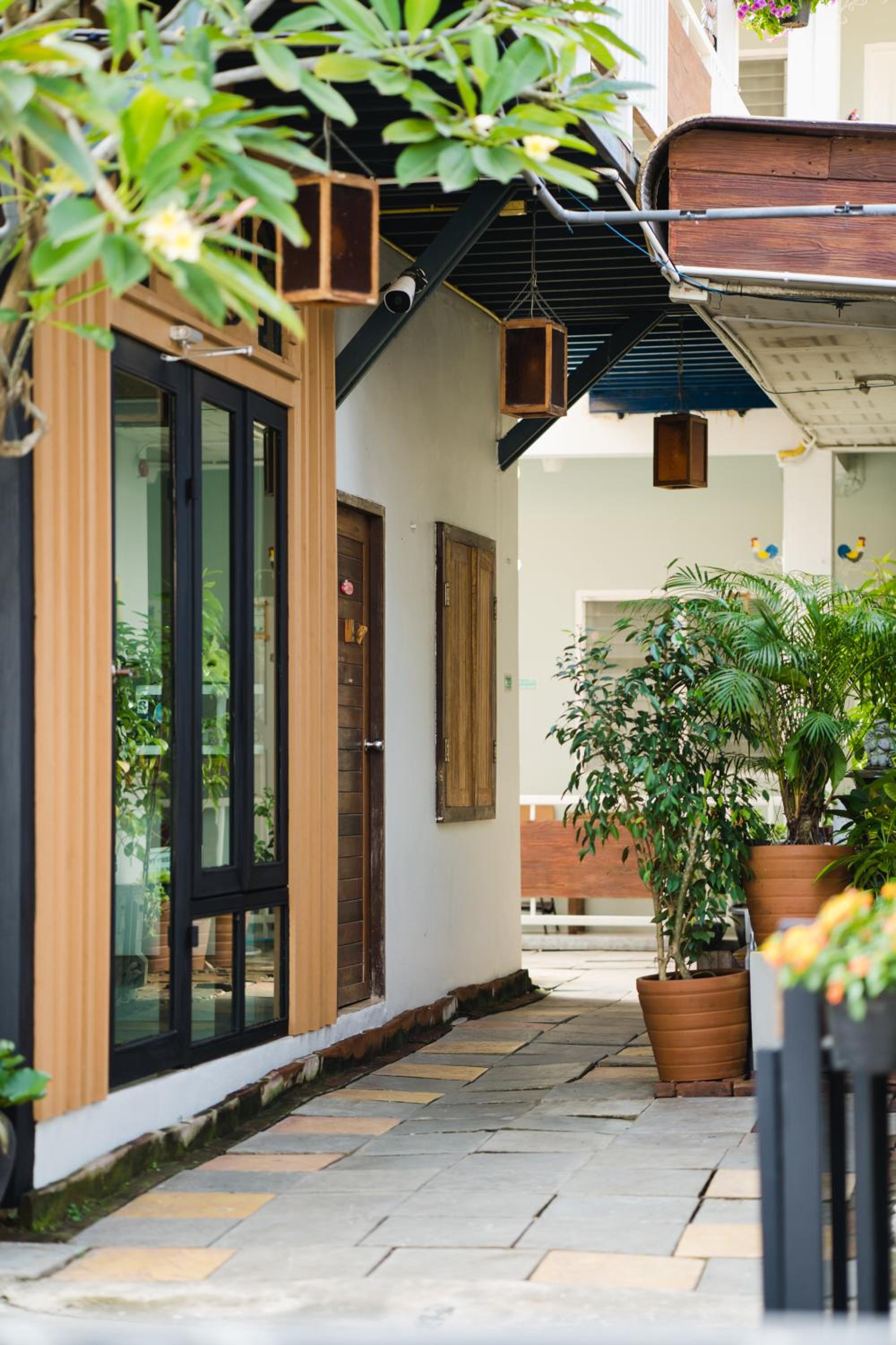 Sabuy Chiangmai
