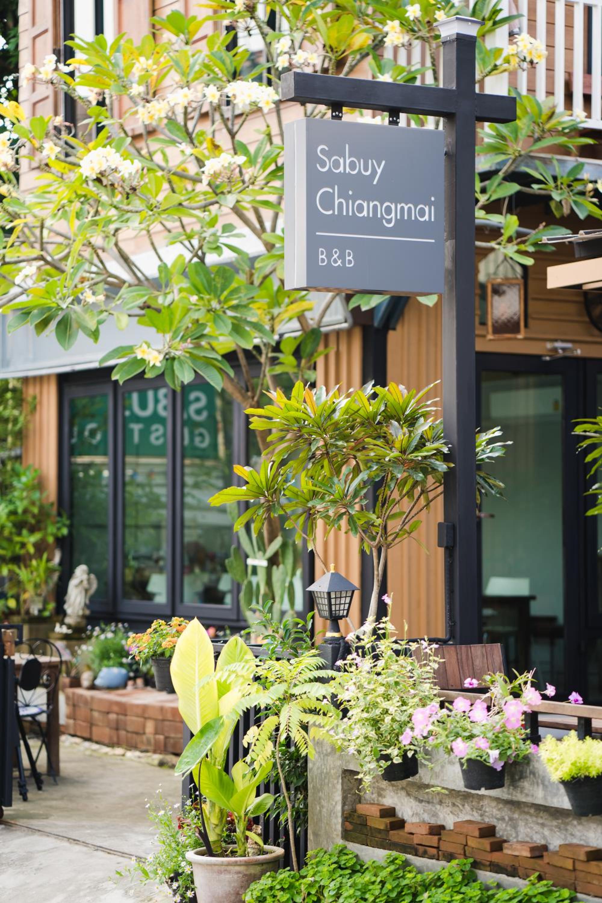 Sabuy Chiangmai