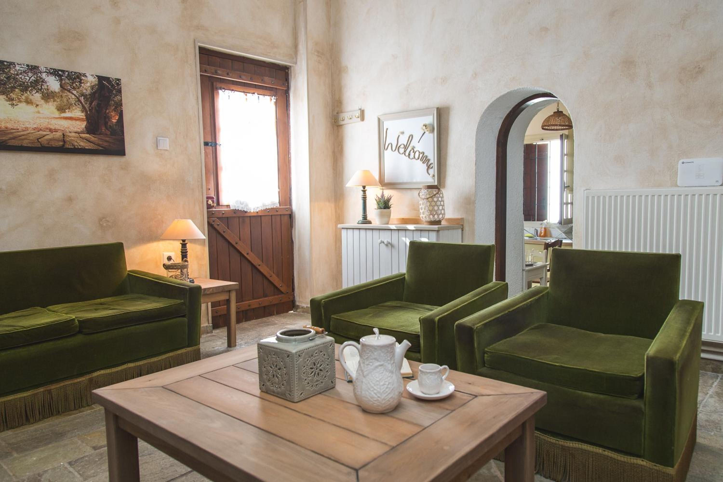 Villa Ntona en Makrinítsa — lounge