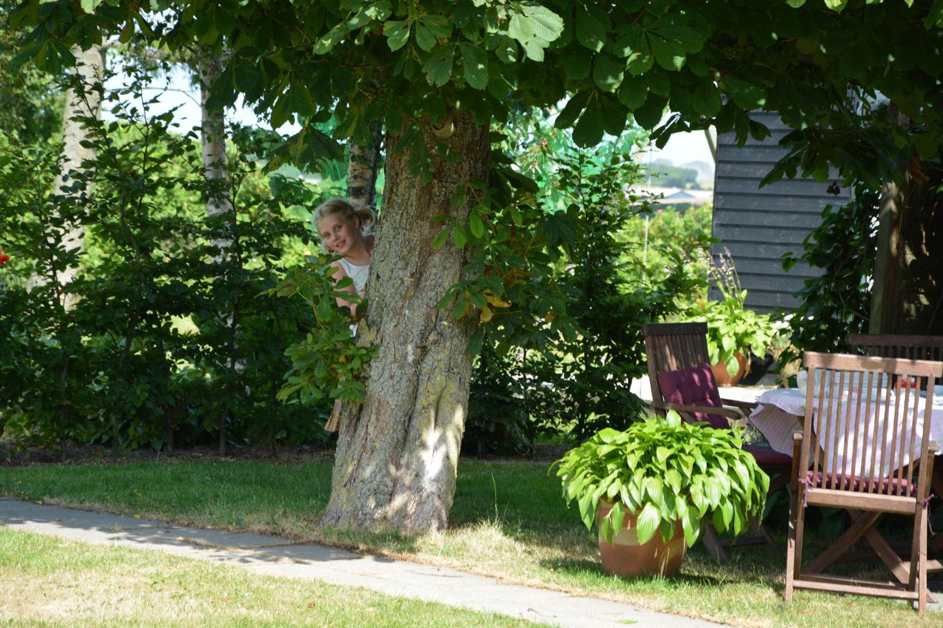 Photo 28