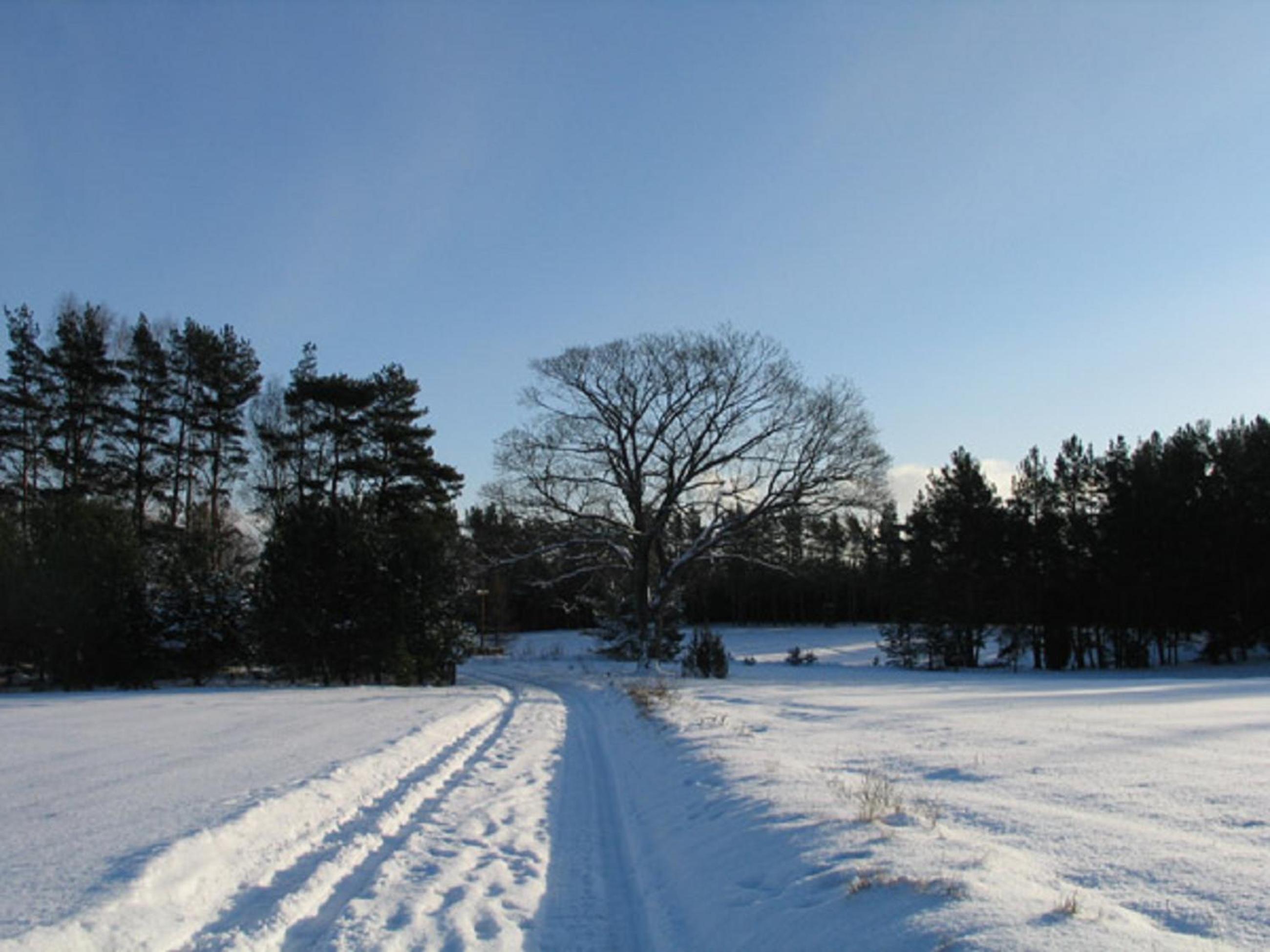 Photo 45