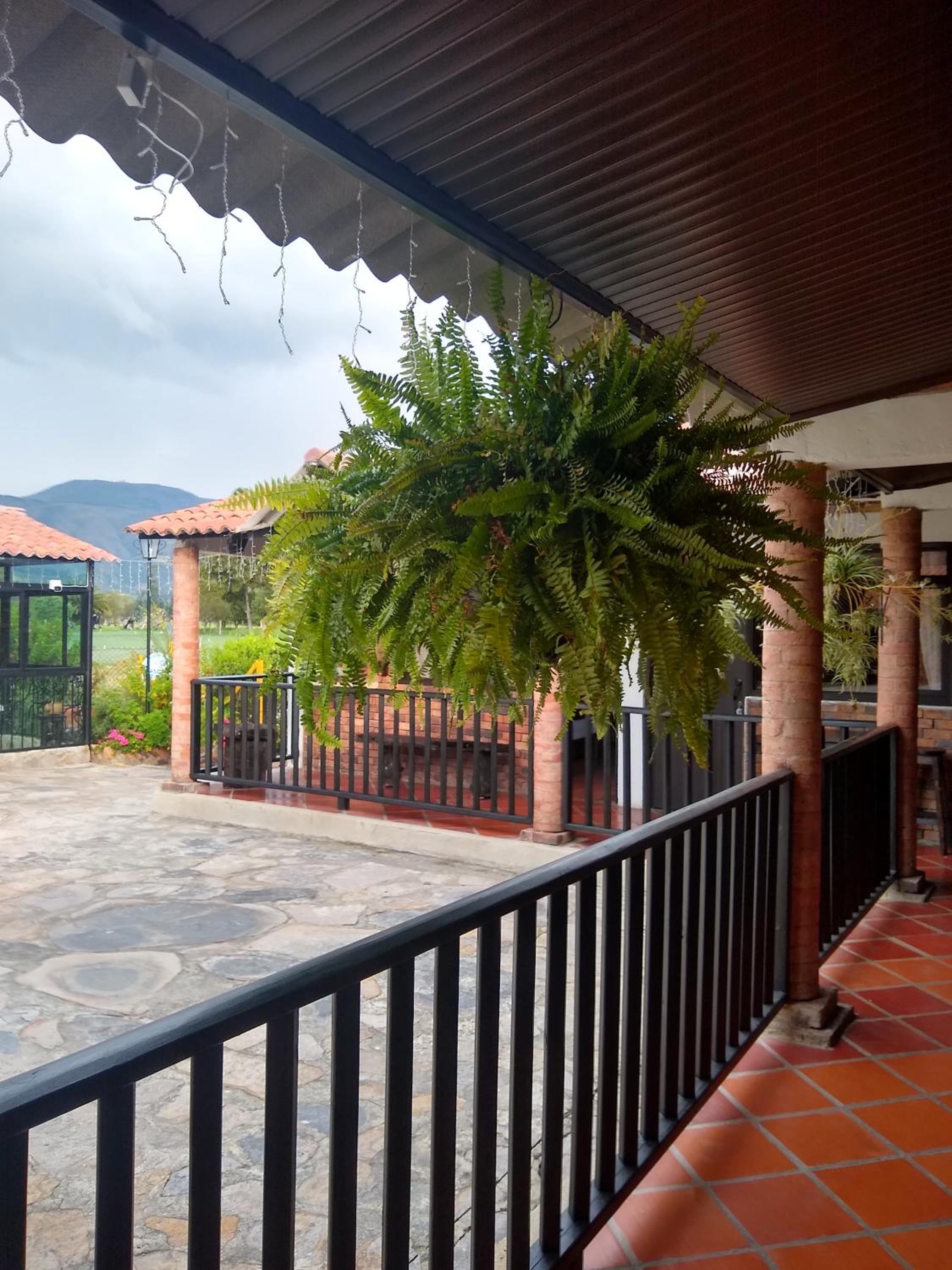 Posadas San Antonio Campestre view 5