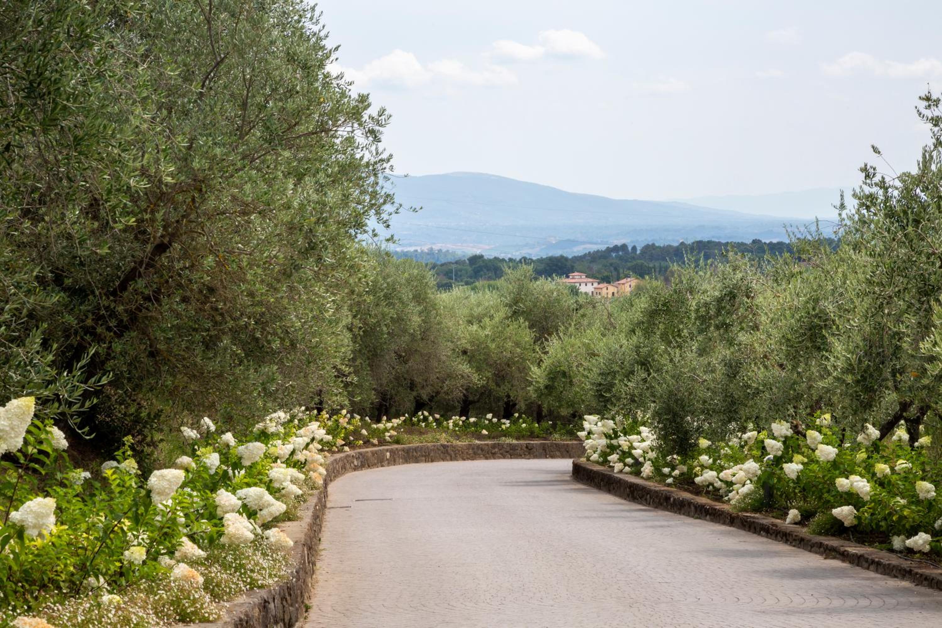 Figline Valdarno Vacations - Palagina la dimora - Property Image 74