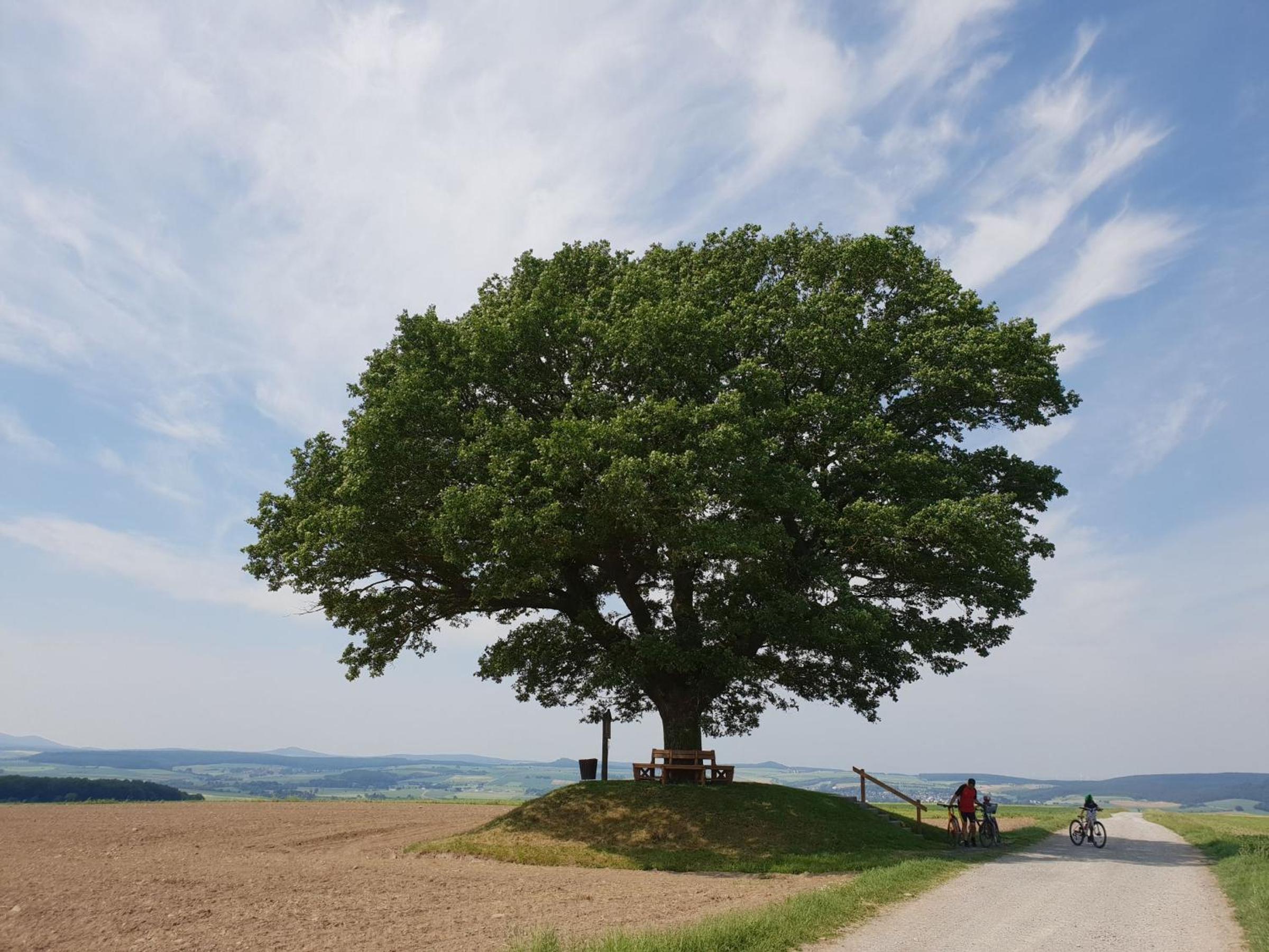 Ferienhaus Hofmeyer