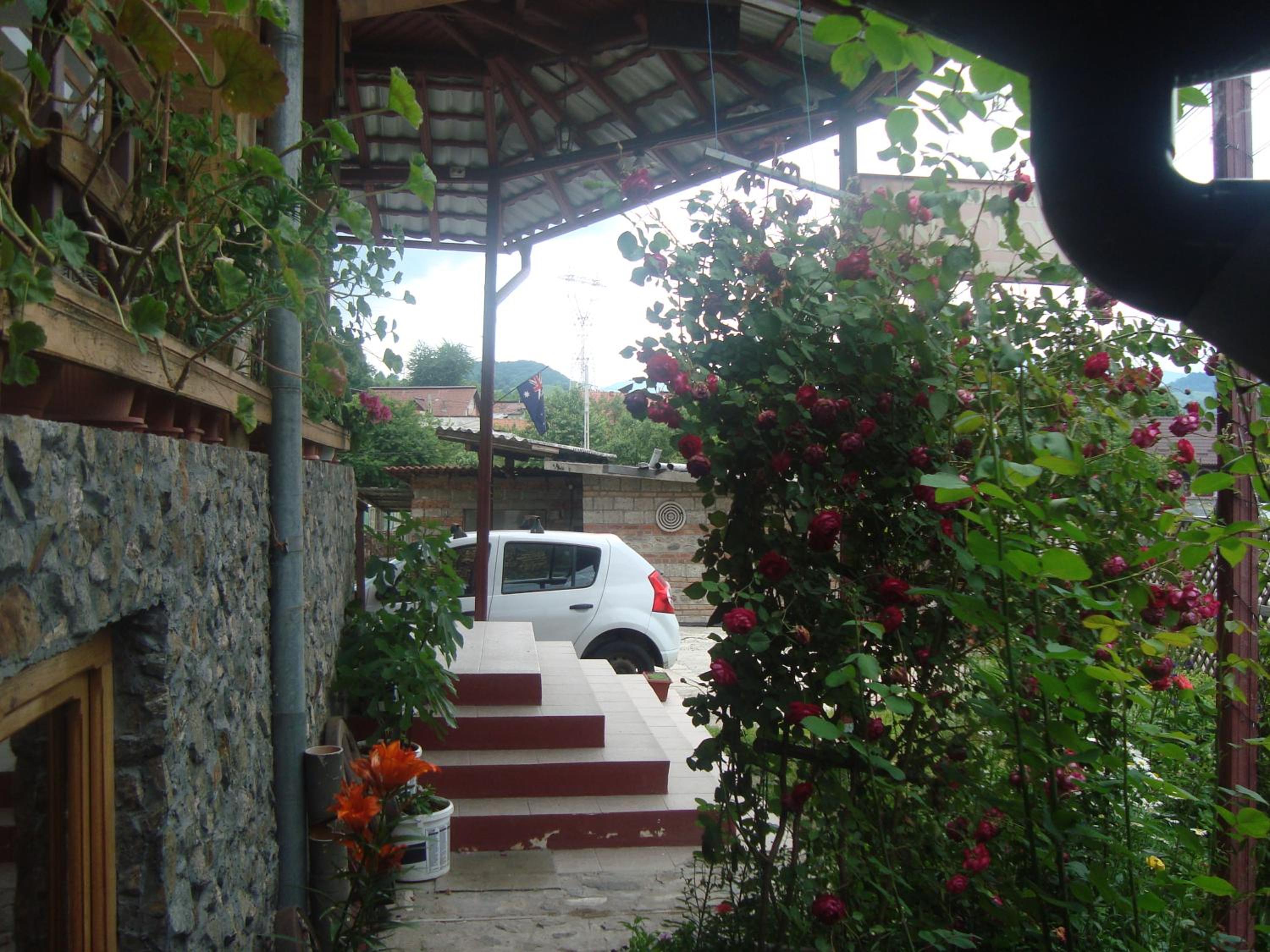 Photo 47