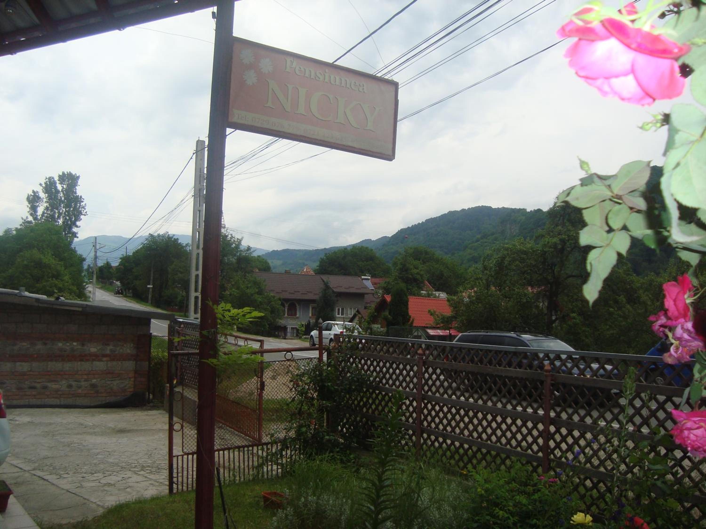 Photo 43