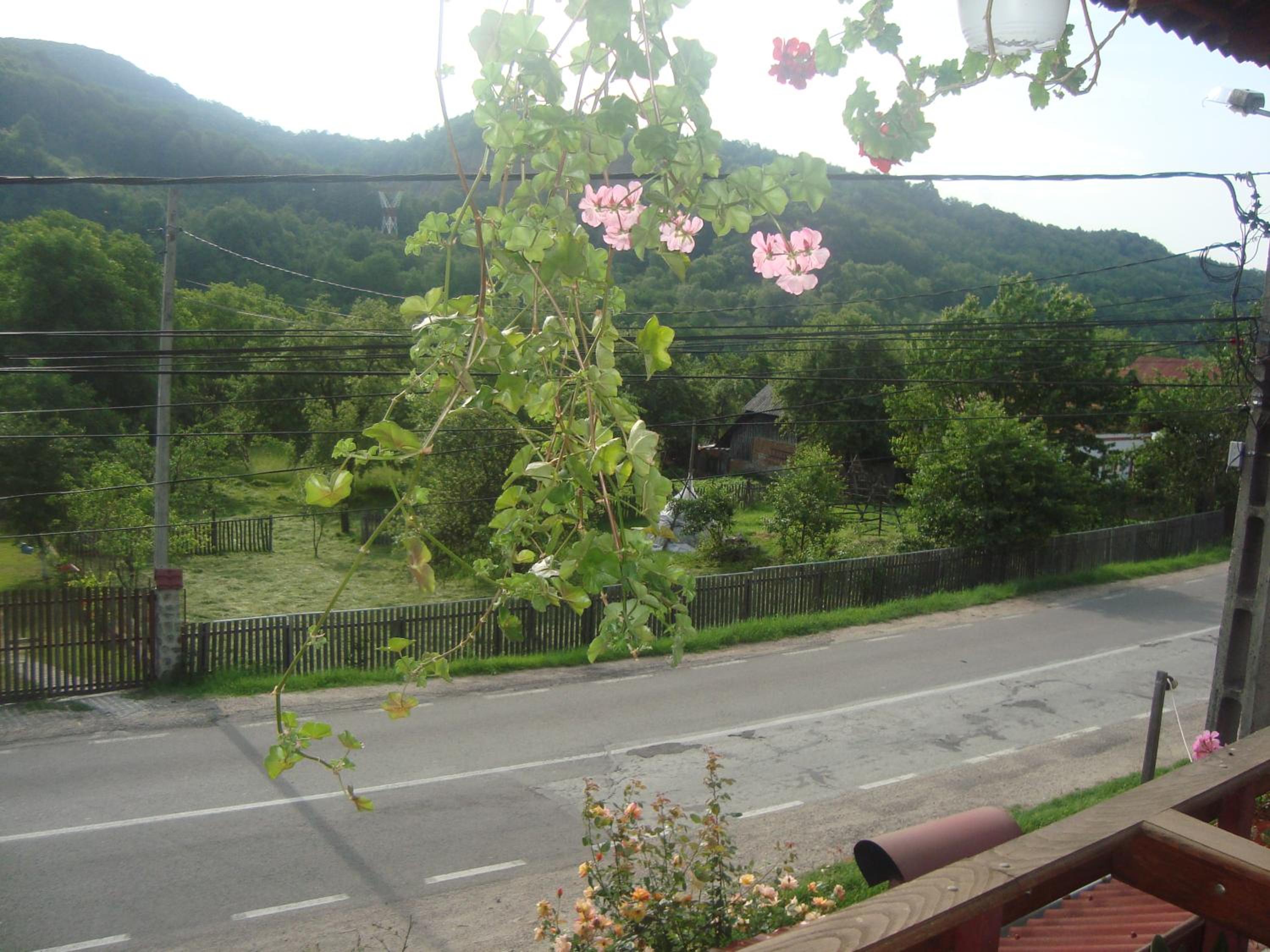 Photo 42