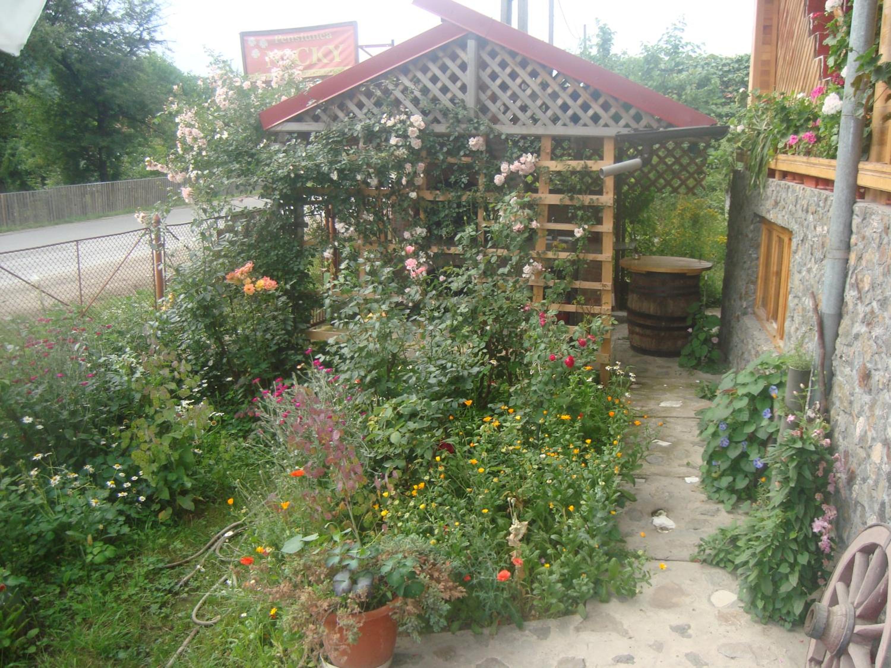 Photo 53