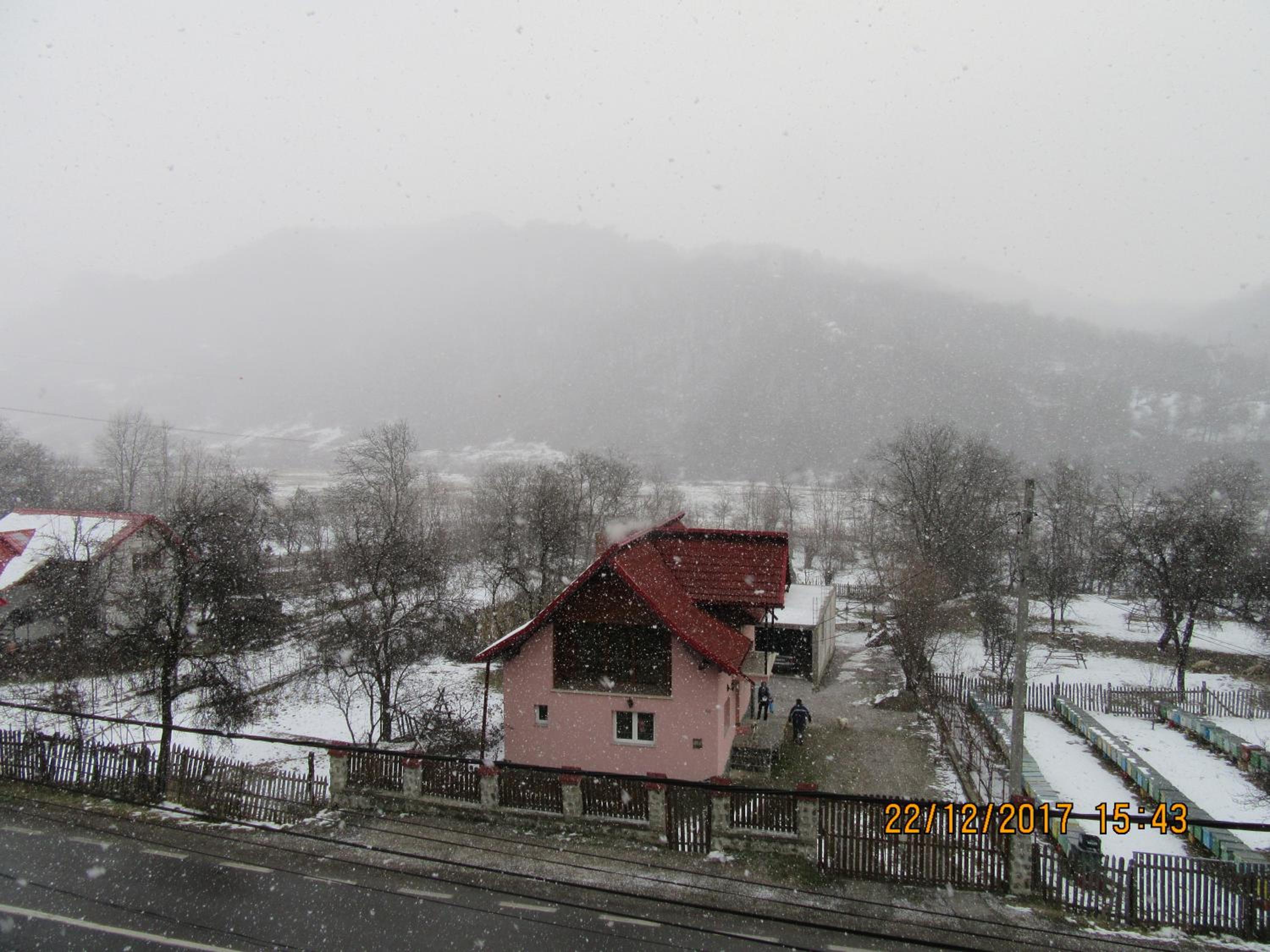 Photo 44