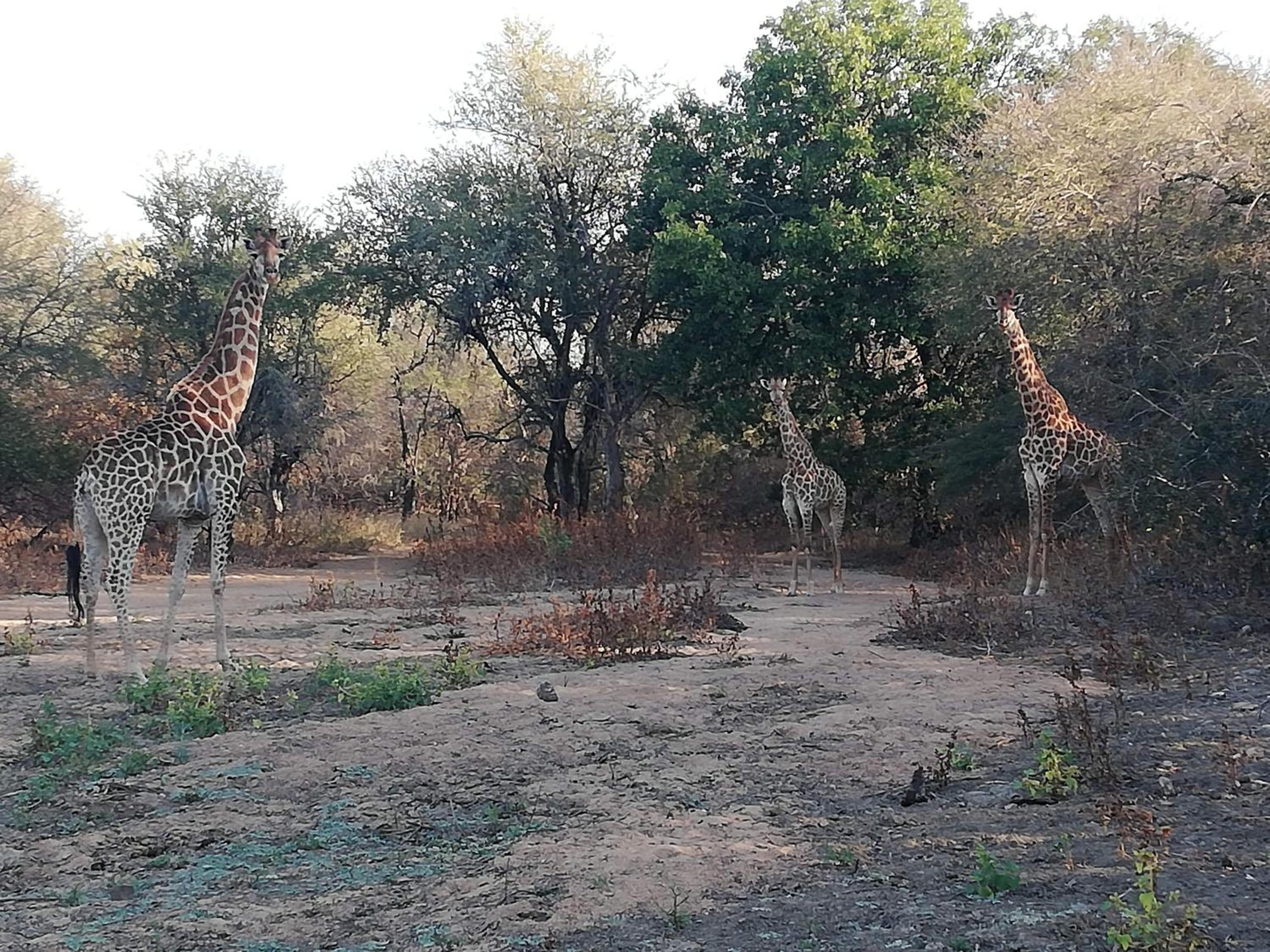 Kelora Bush Camp view 5