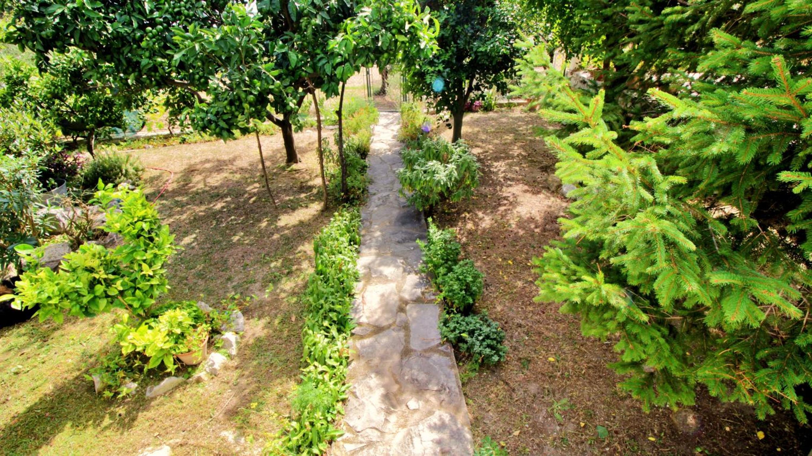 Photo 20