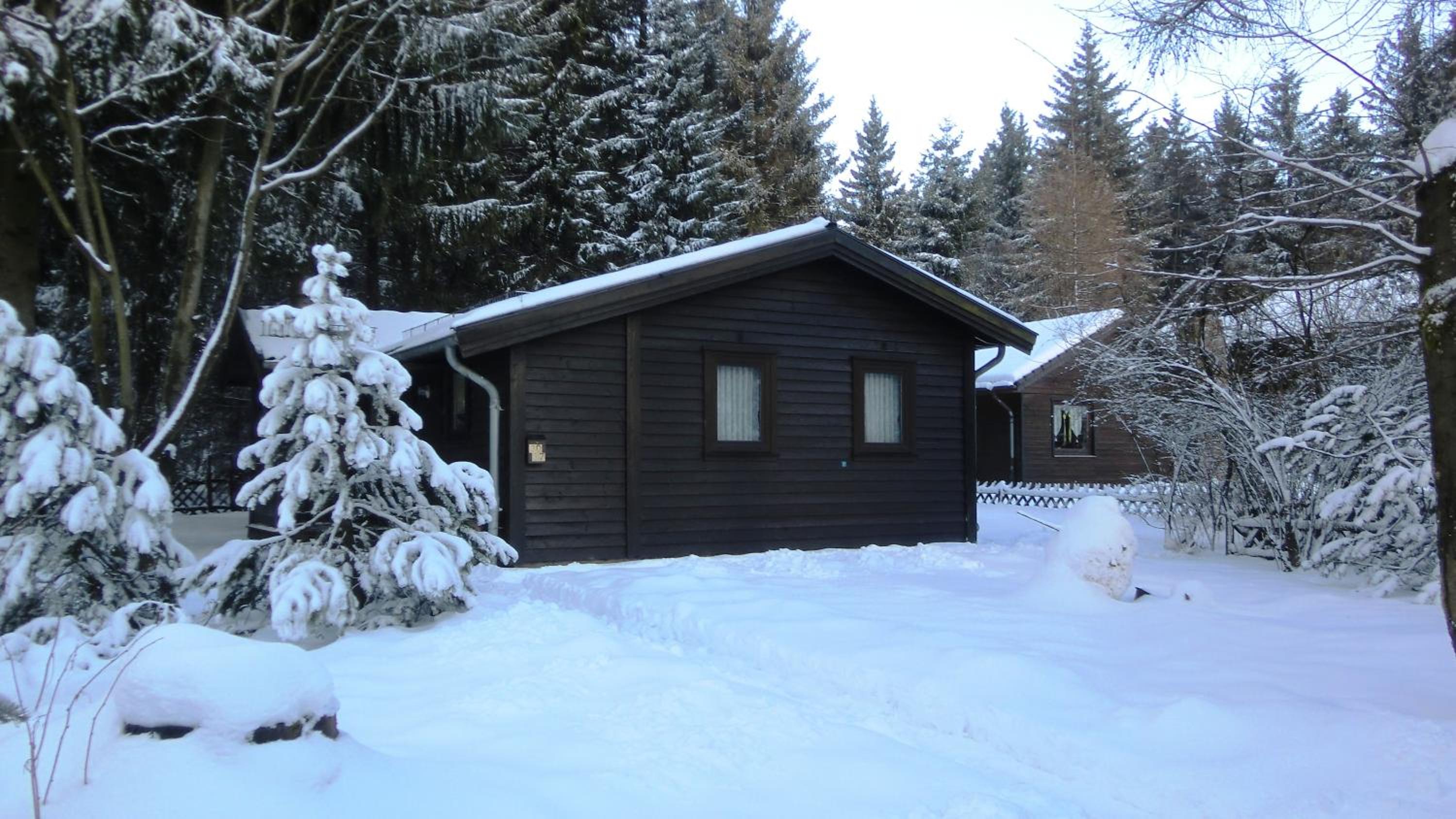 Waldsee Feriendienst 'Ferienpark am Waldsee'
