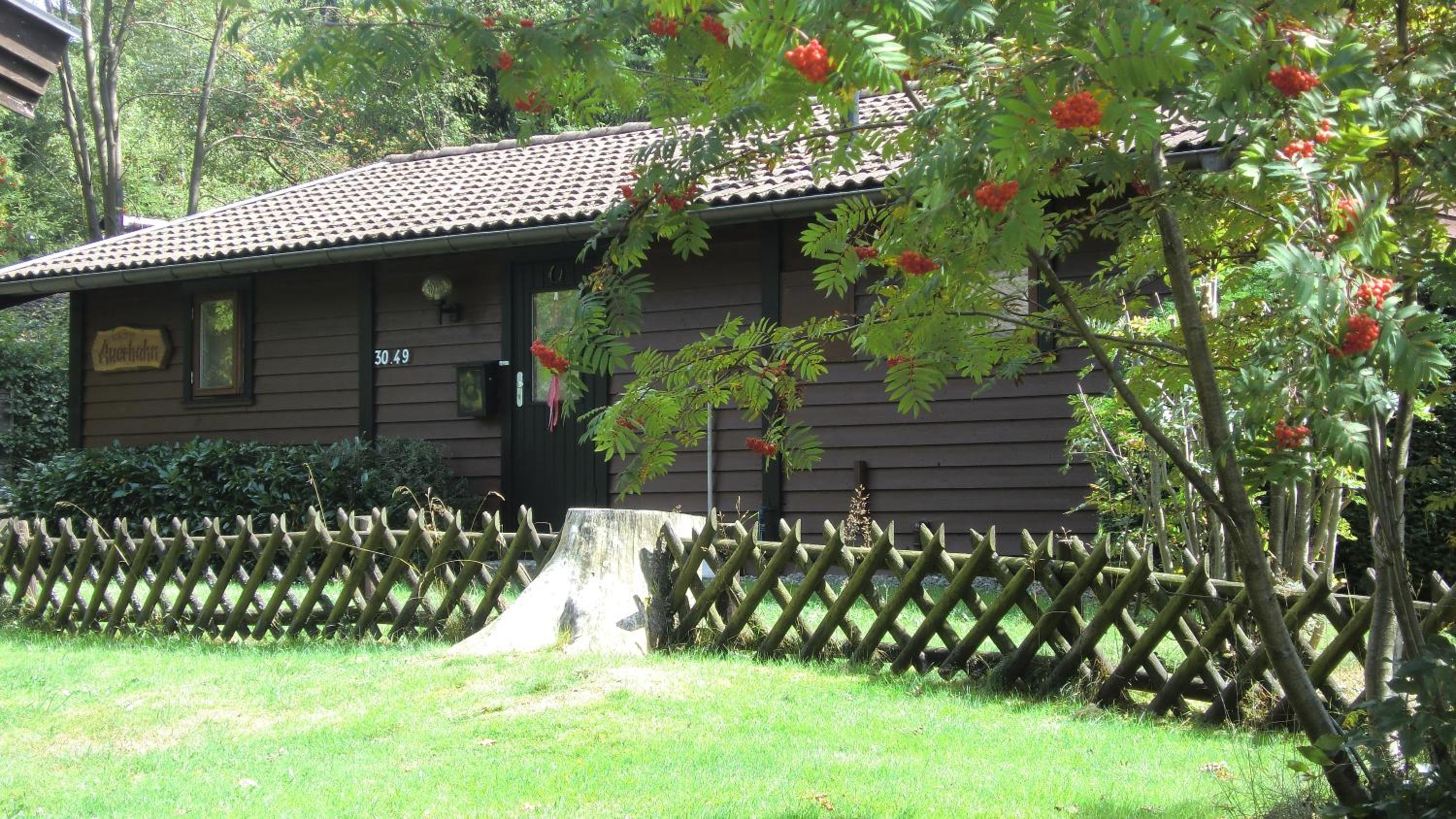 Waldsee Feriendienst 'Ferienpark am Waldsee'