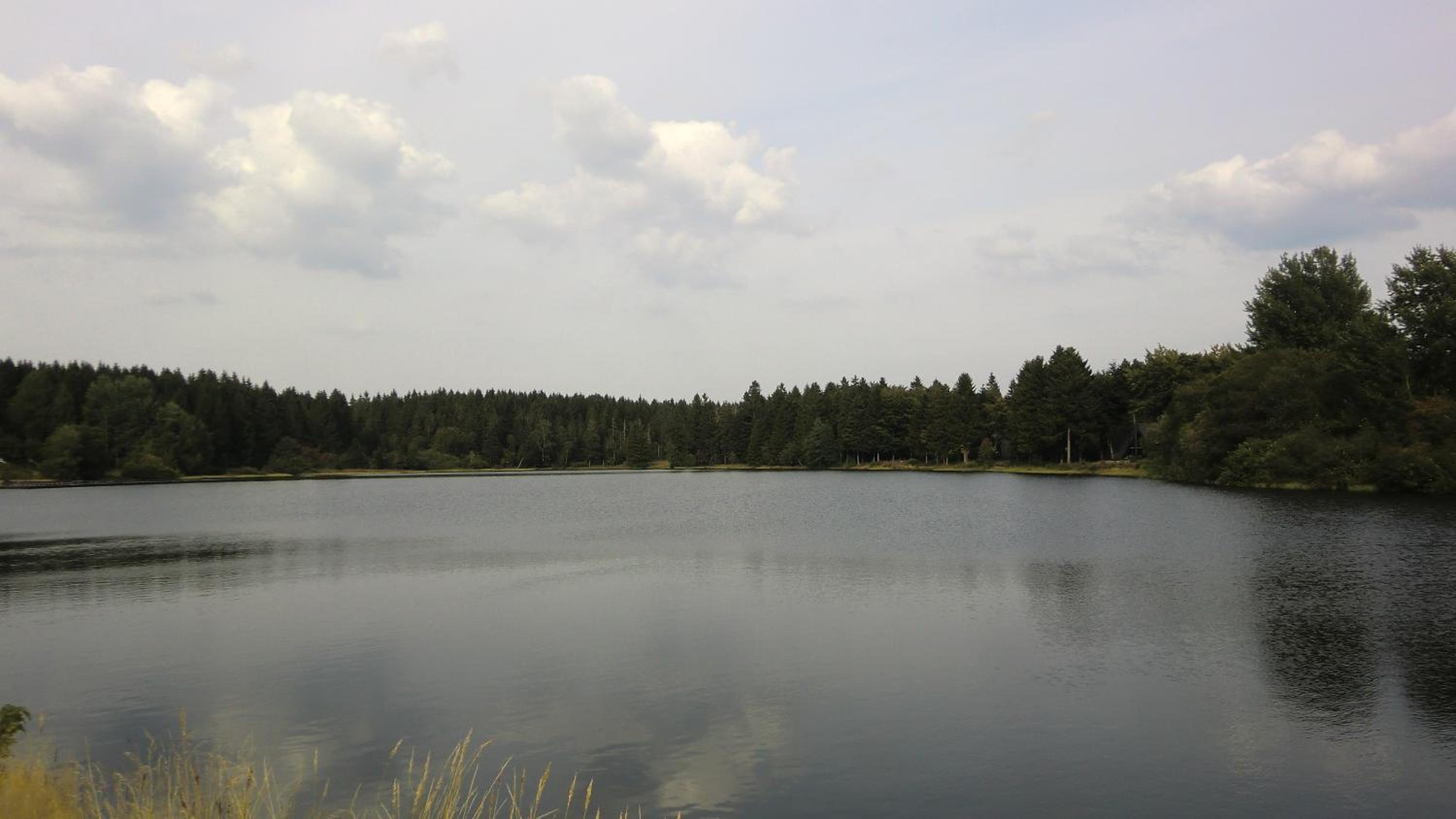 Waldsee Feriendienst 'Ferienpark am Waldsee'