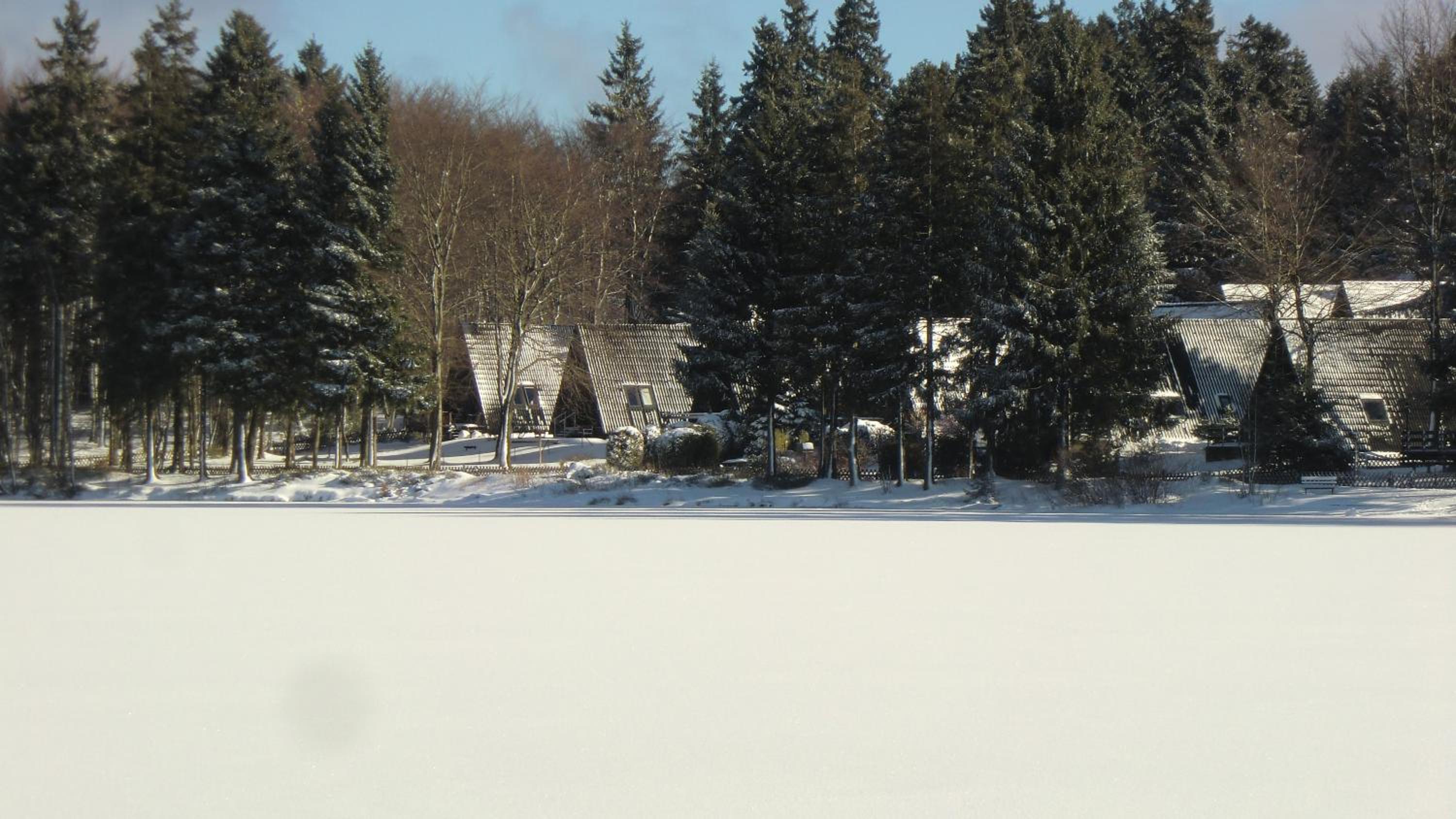 Waldsee Feriendienst 'Ferienpark am Waldsee'