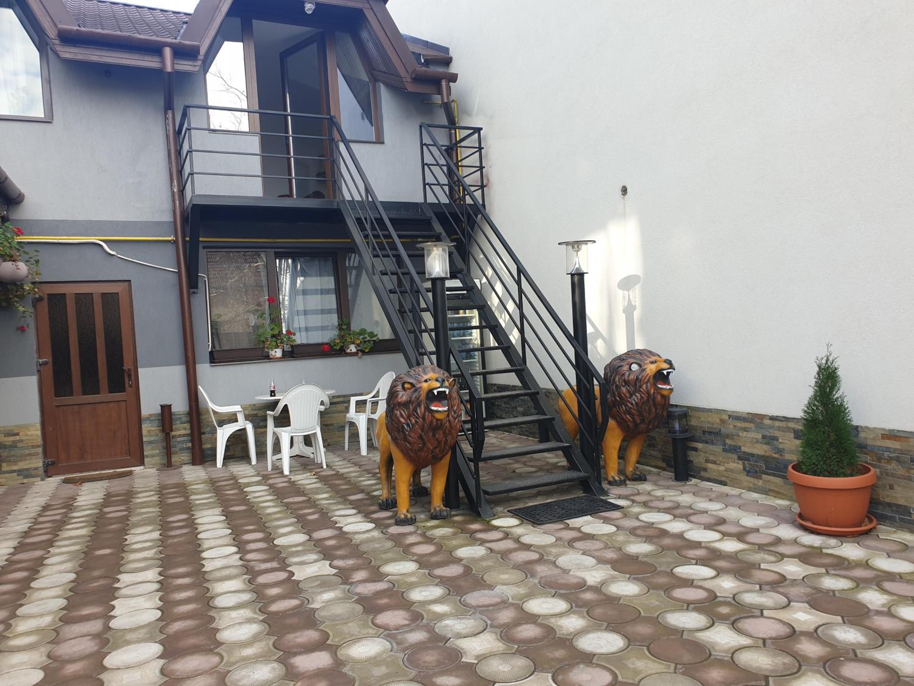 Casa Lions view 2