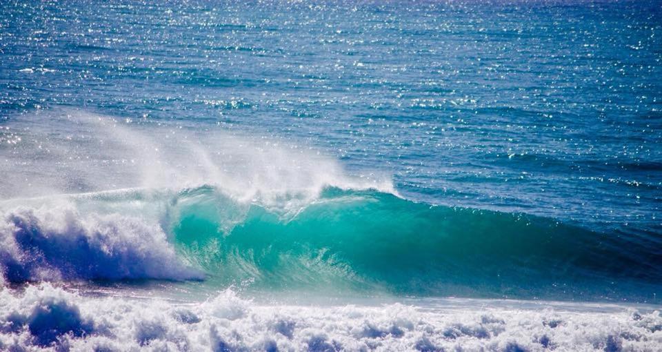 Appartamento Pace & Natura presso Cooee Surf House, photo 12