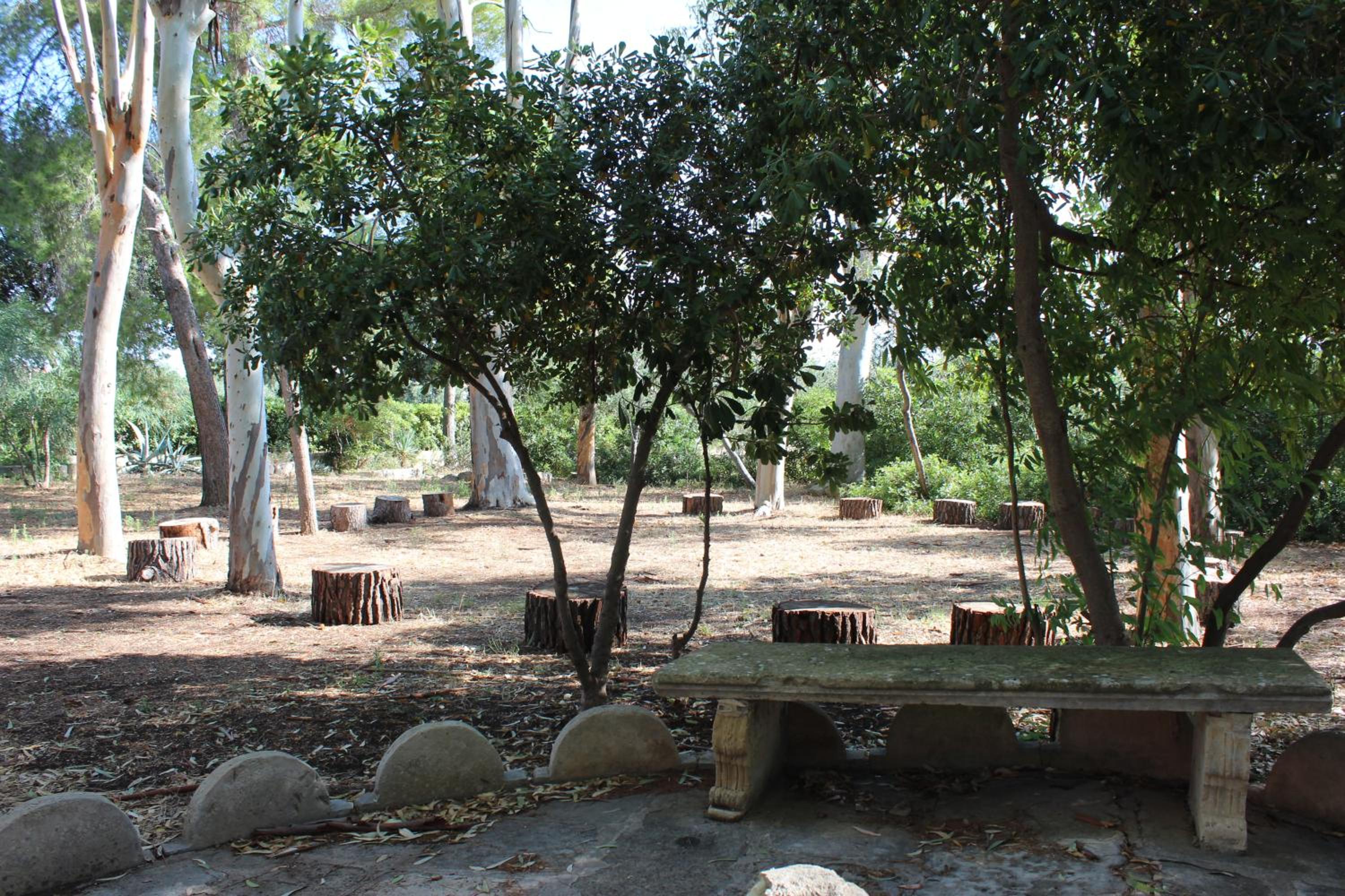 Photo 11