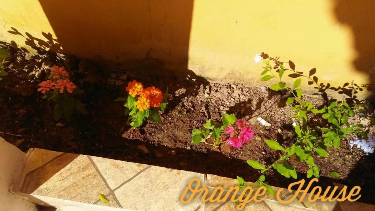 Orange House