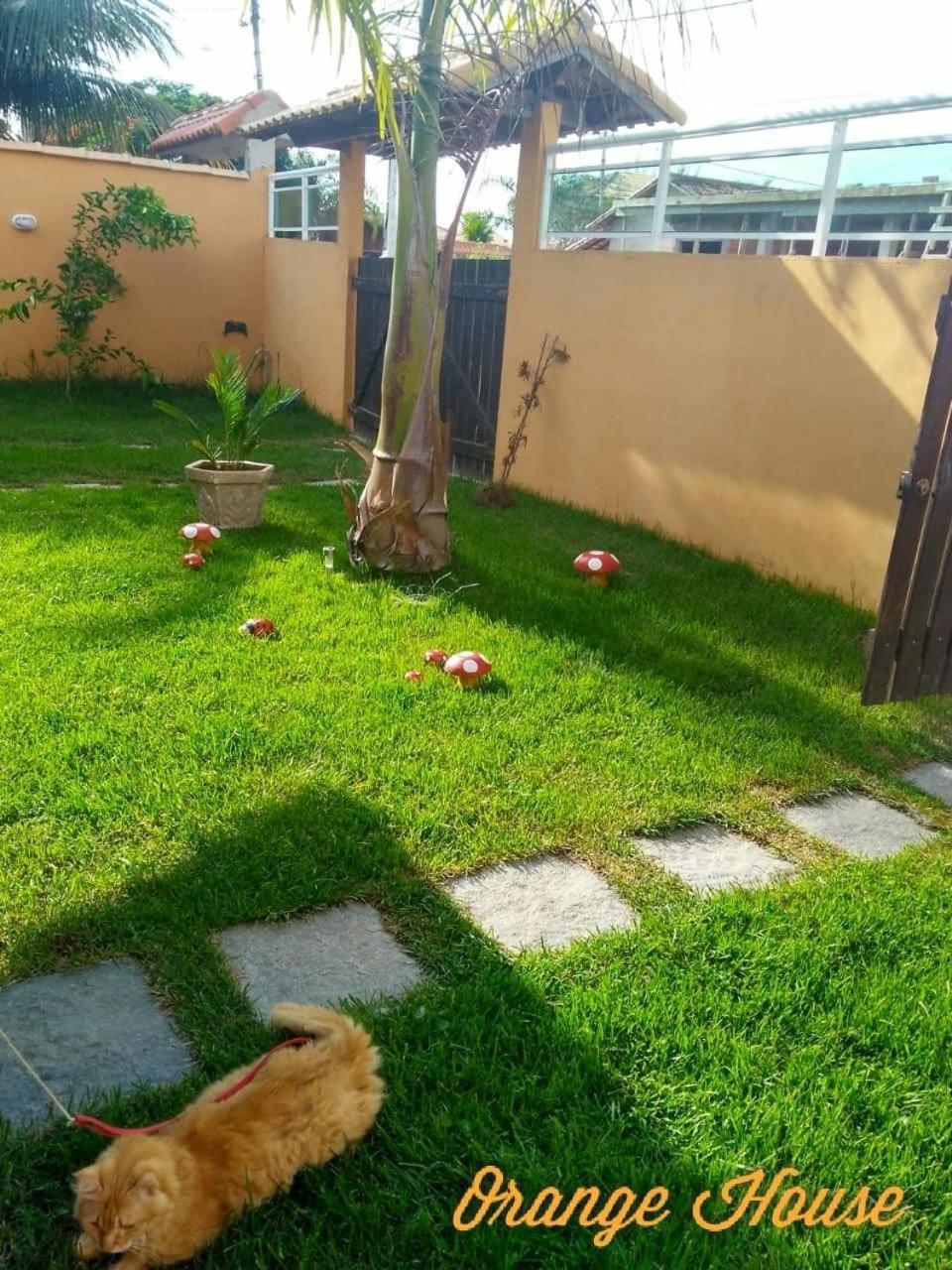 Orange House