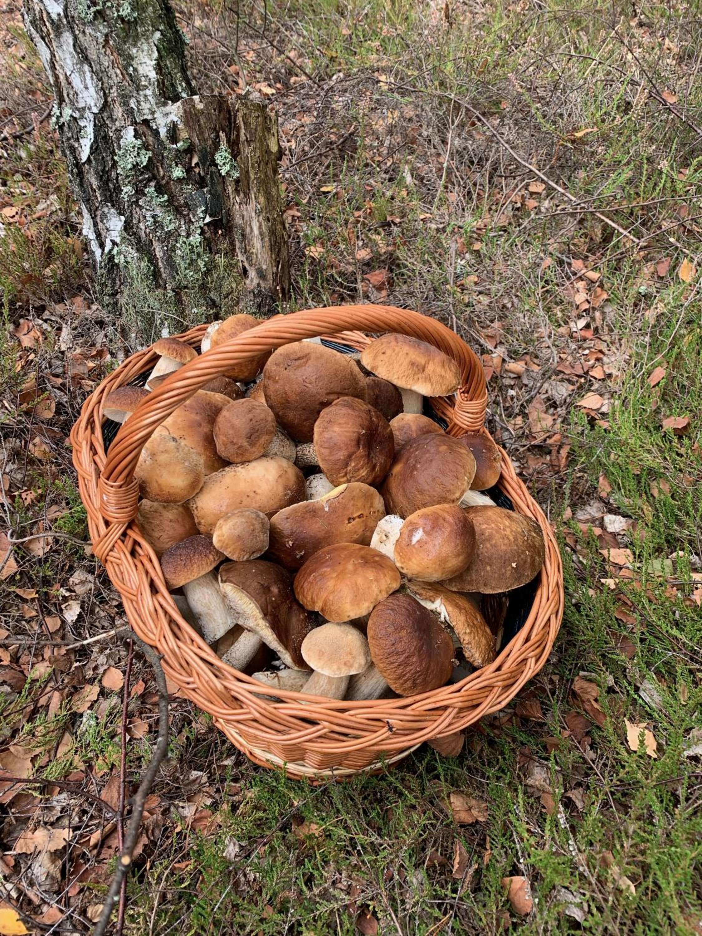 Photo 14