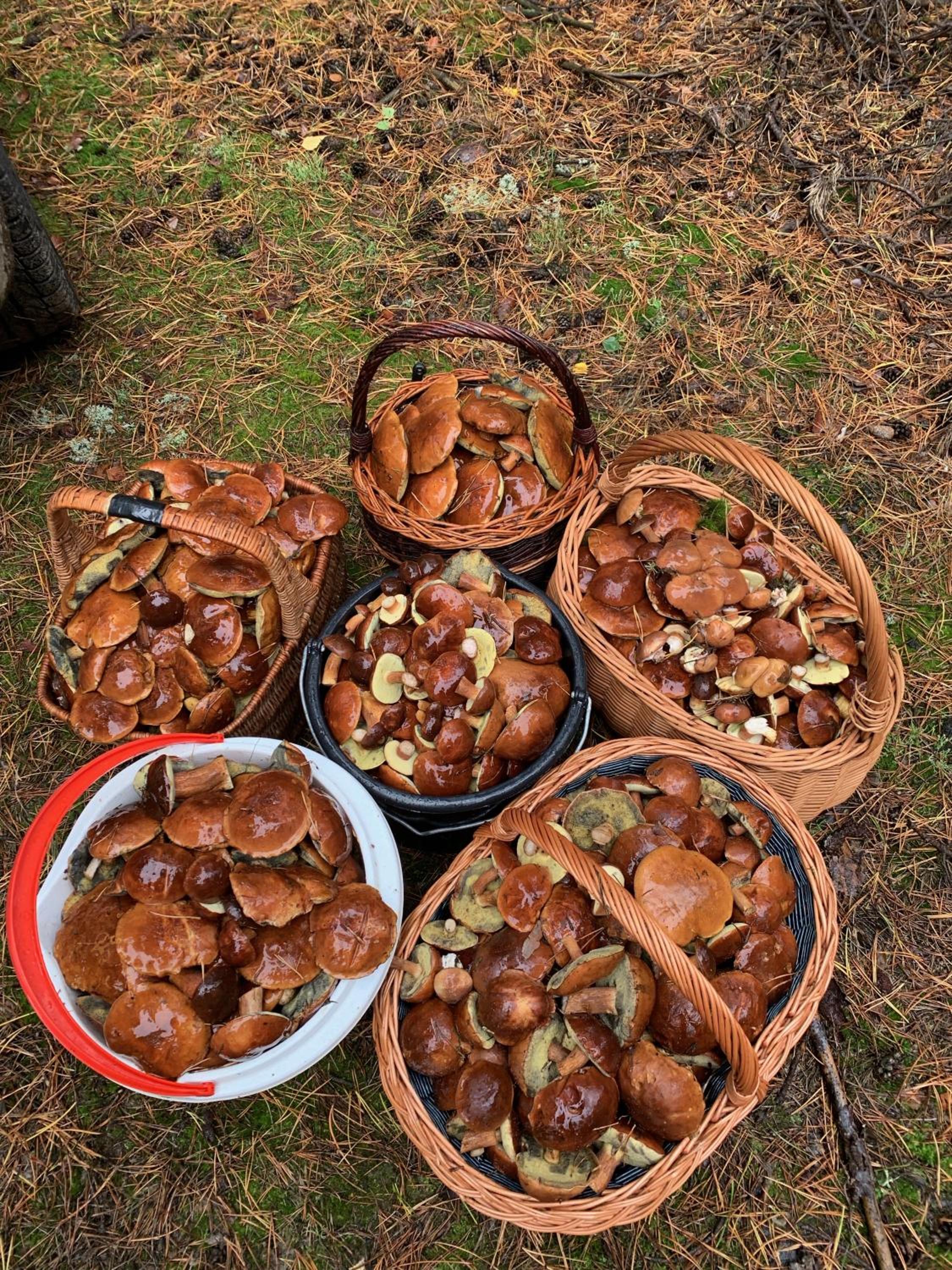 Photo 13
