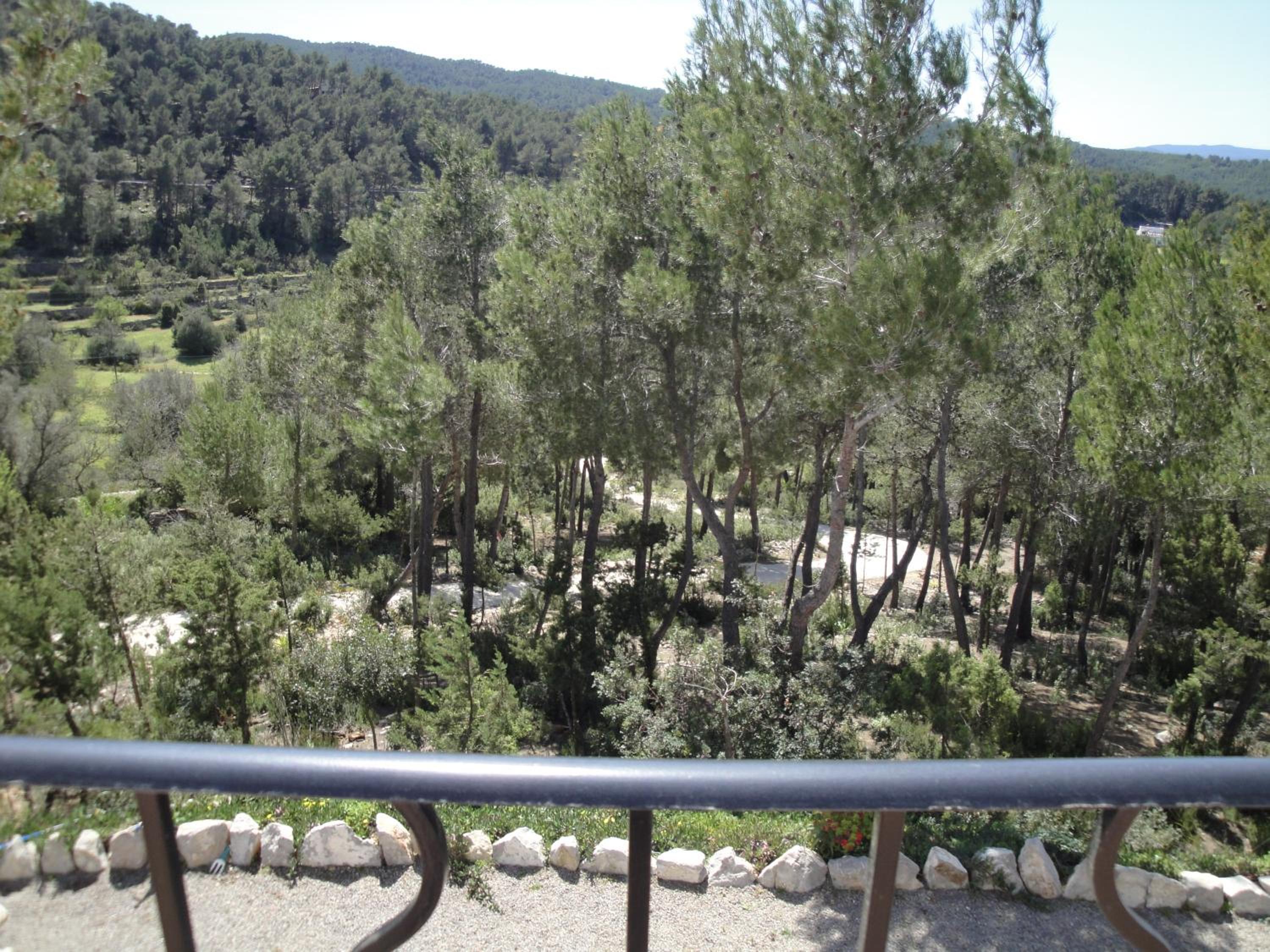 Photo 29