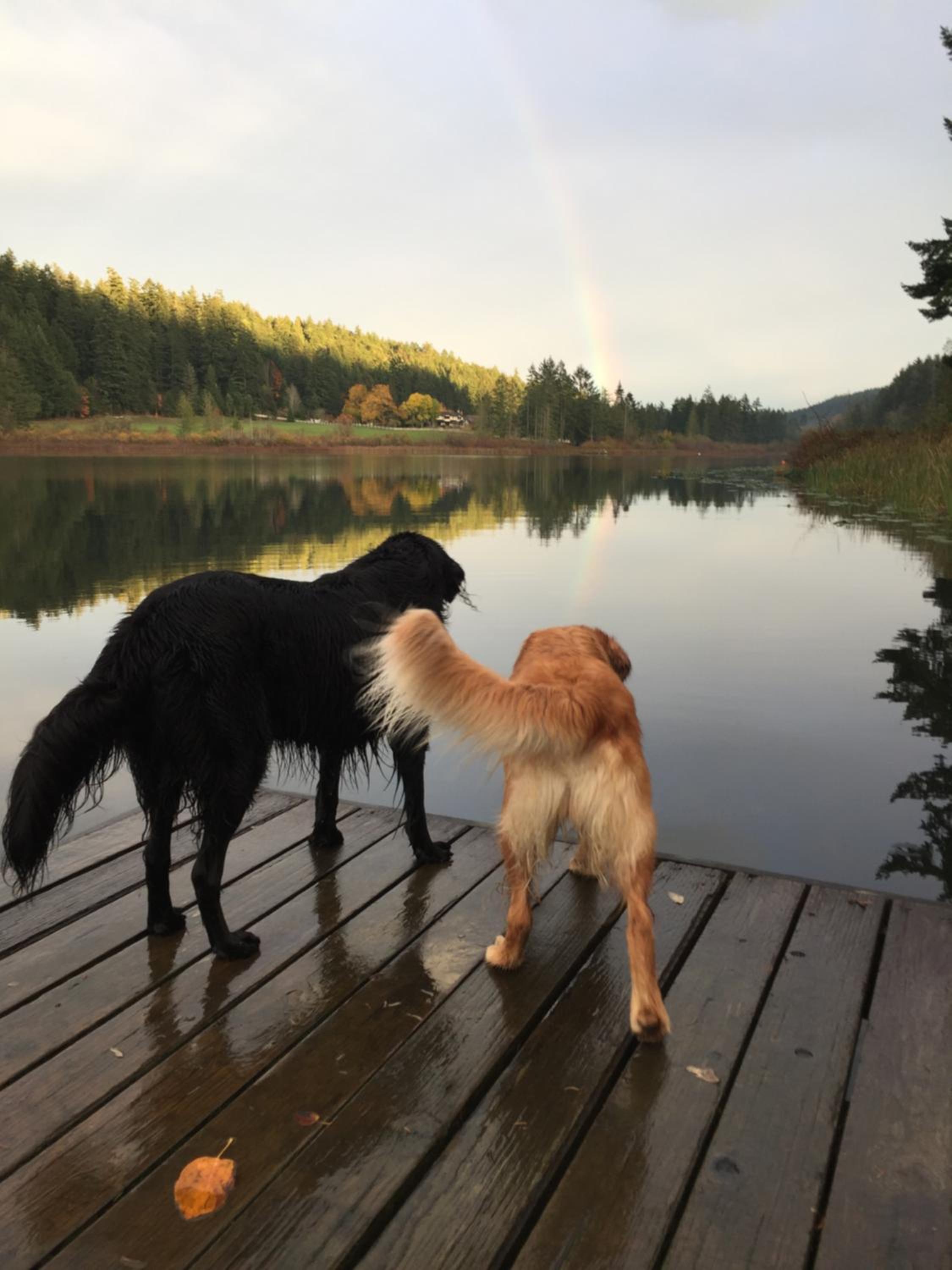 Cusheon Lake Resort